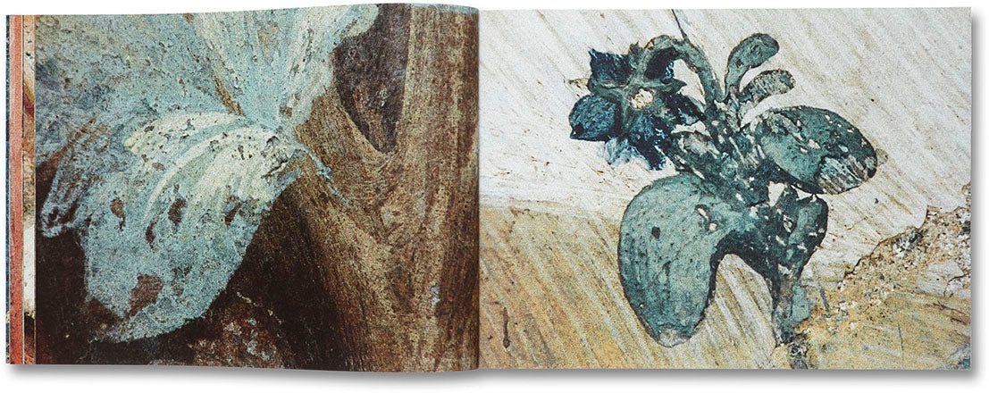 Buon Fresco - Image 7