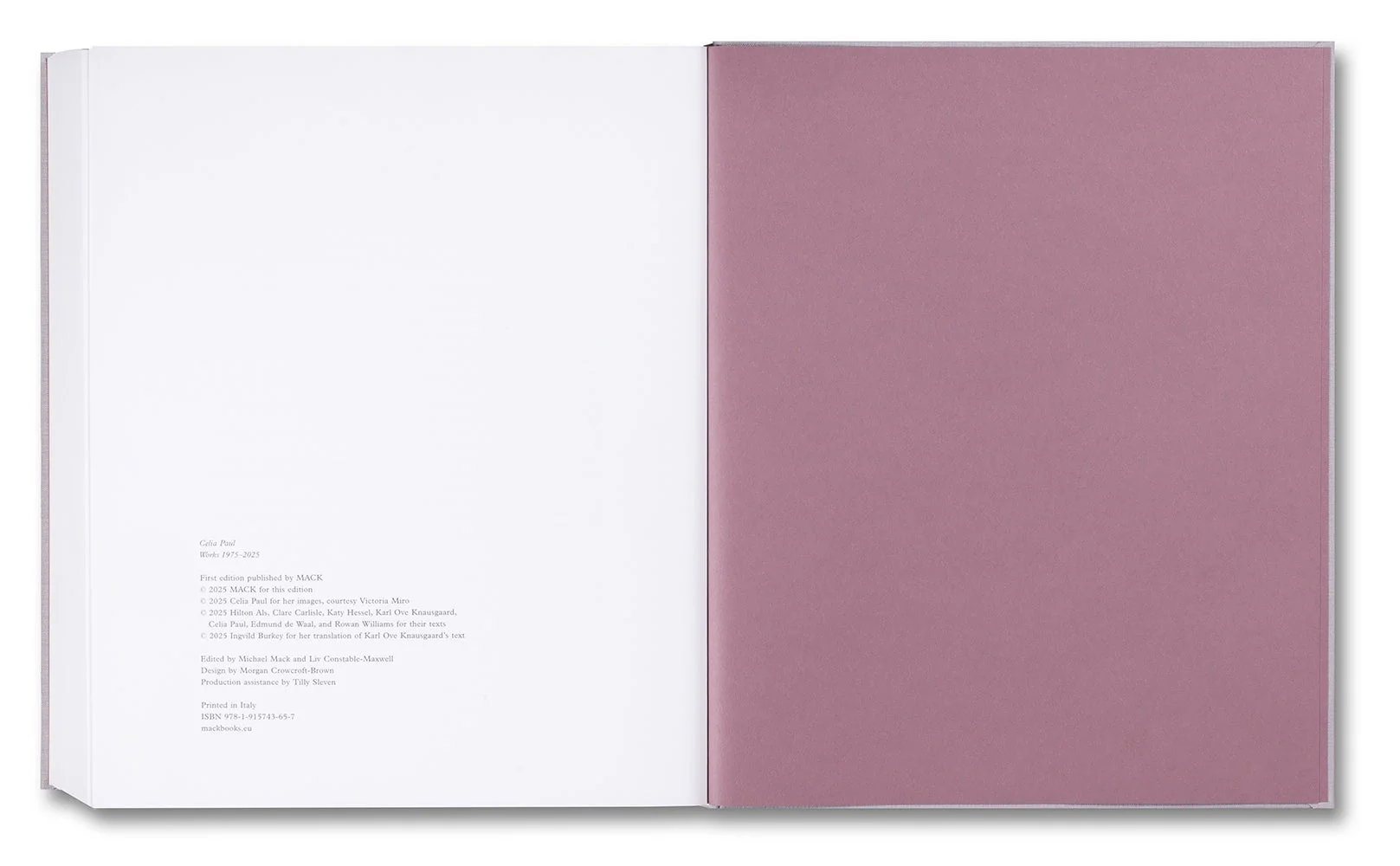 Celia Paul: Works 1975–2025 - Image 42