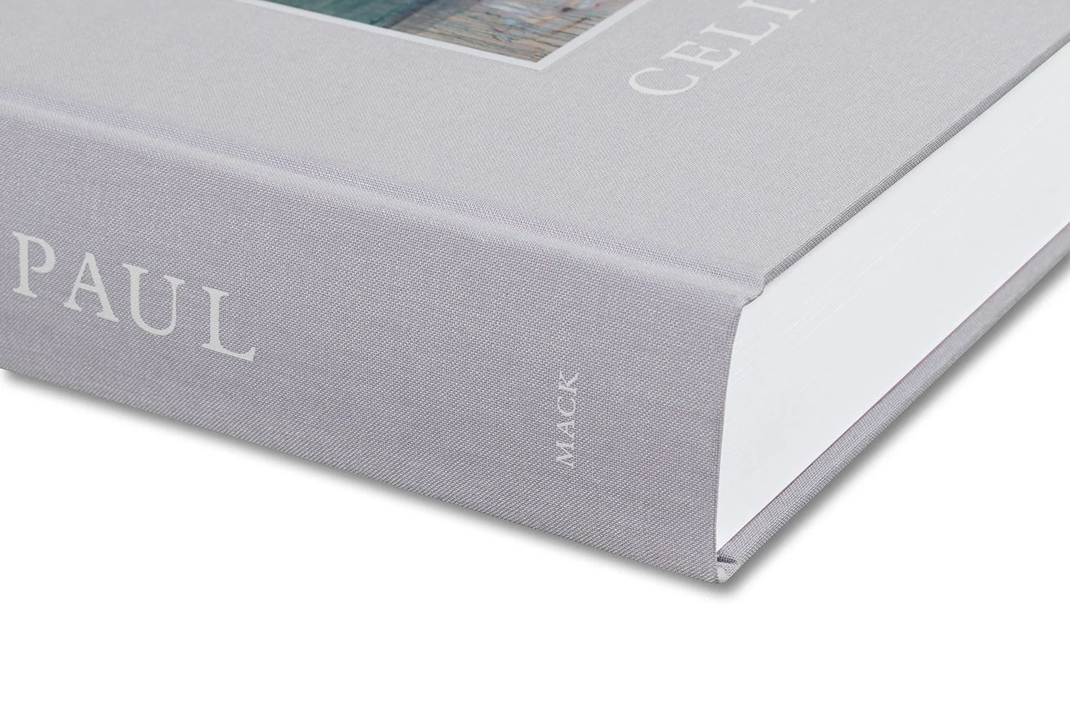 Celia Paul: Works 1975–2025 - Image 52