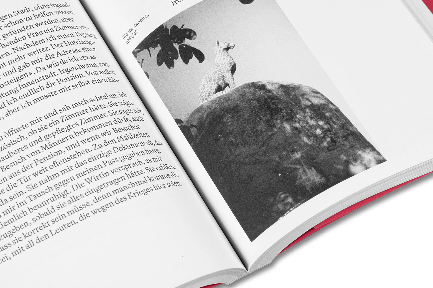 Chien Fou: Selected Writings - Image 50