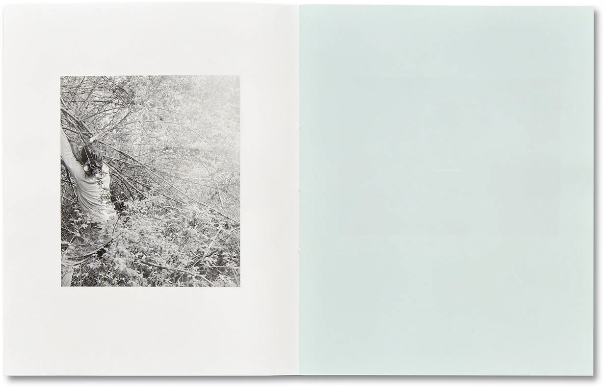 ciprian honey cathedral / errata special edition - Image 11