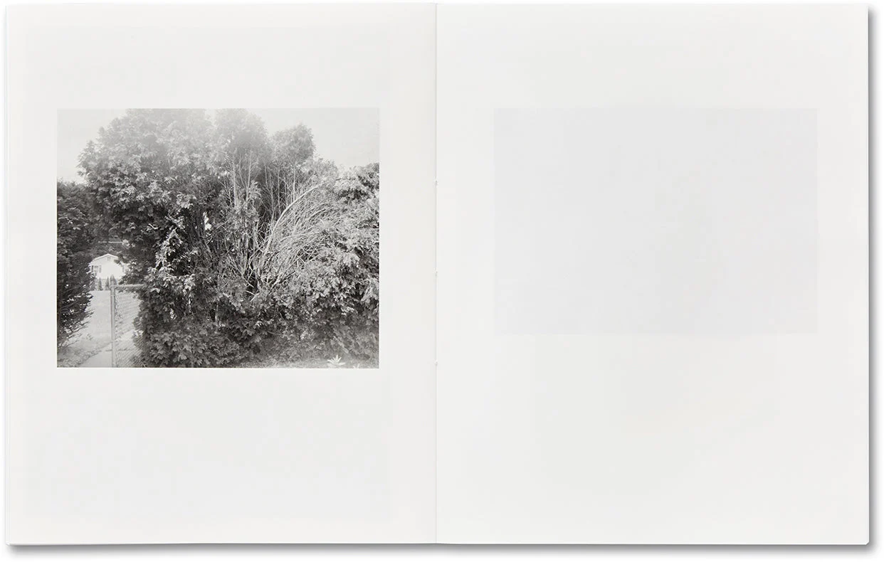 ciprian honey cathedral / errata special edition - Image 17