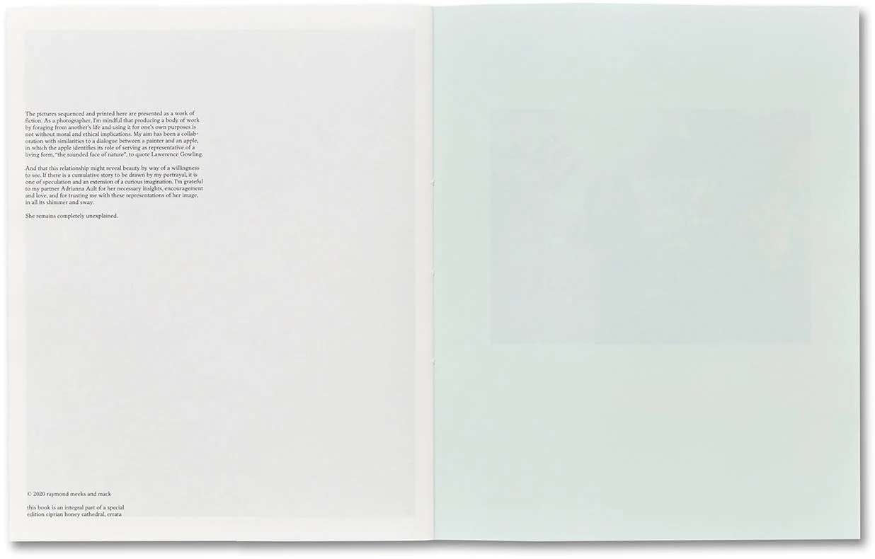 ciprian honey cathedral / errata special edition - Image 24