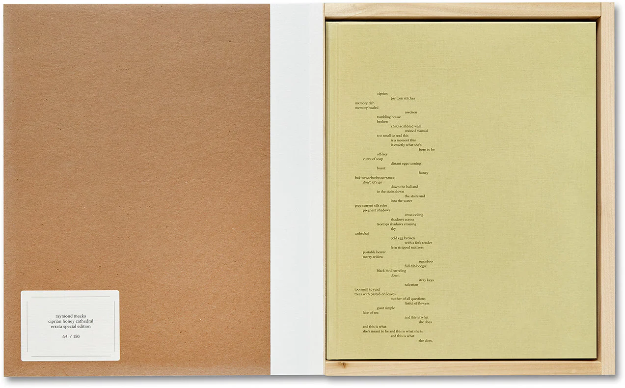 ciprian honey cathedral / errata special edition - Image 26