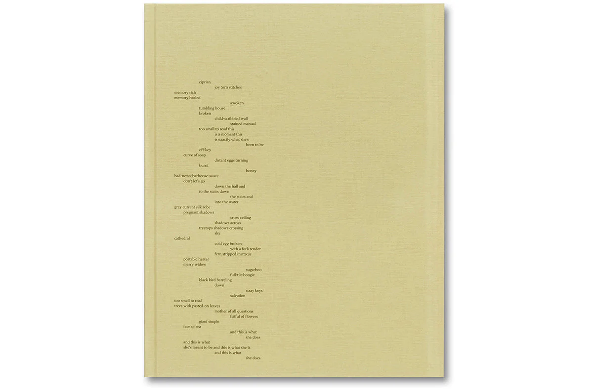 ciprian honey cathedral / errata special edition - Image 27