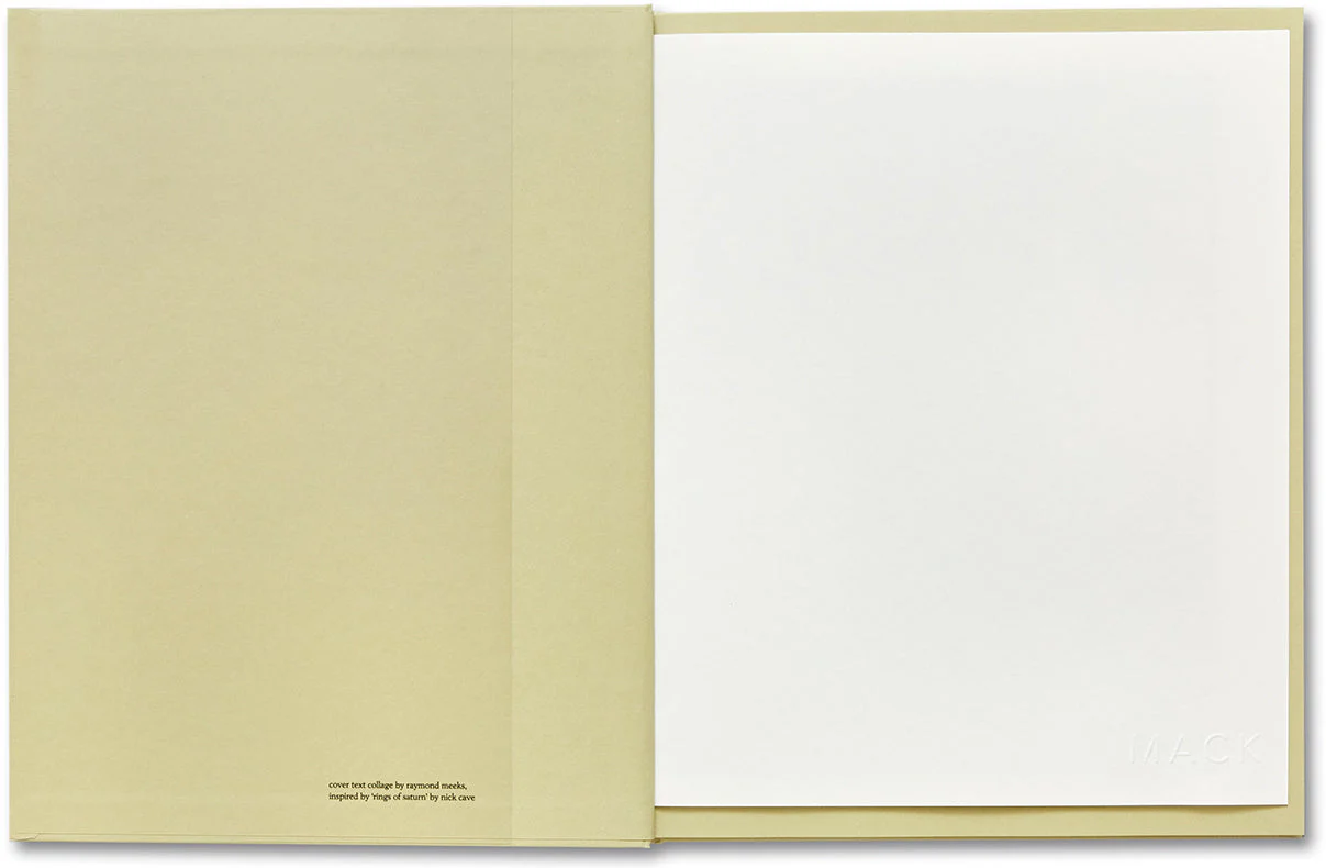 ciprian honey cathedral / errata special edition - Image 28