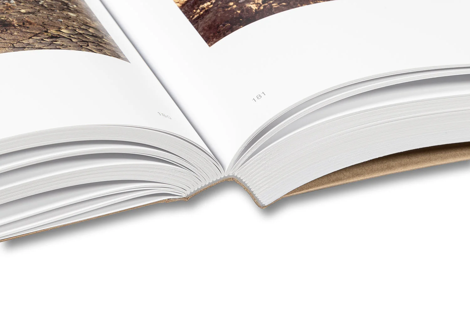 Col tempo, 1956–2024 (Paperback Edition) - Image 30