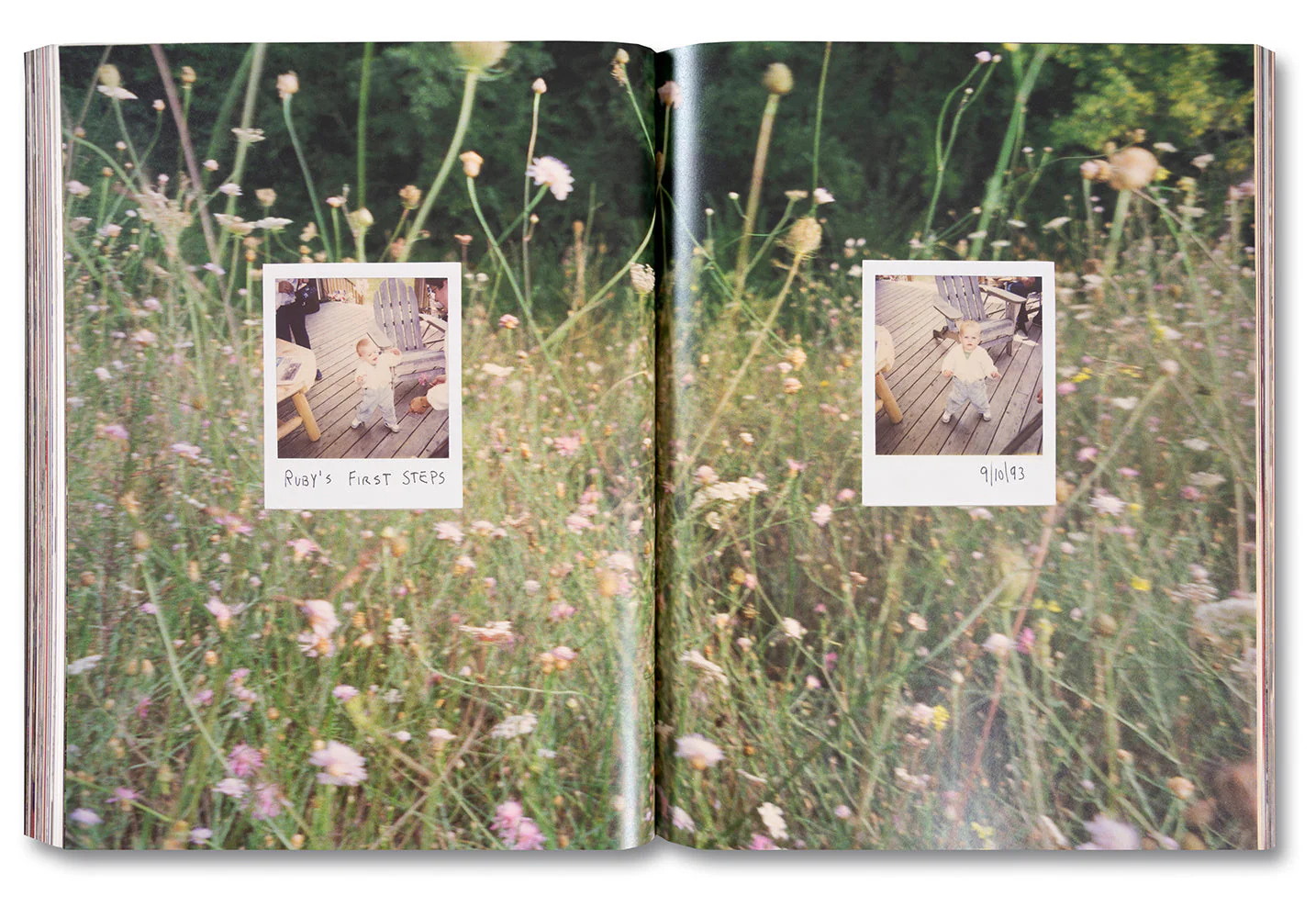 Coming and Going - Image 16