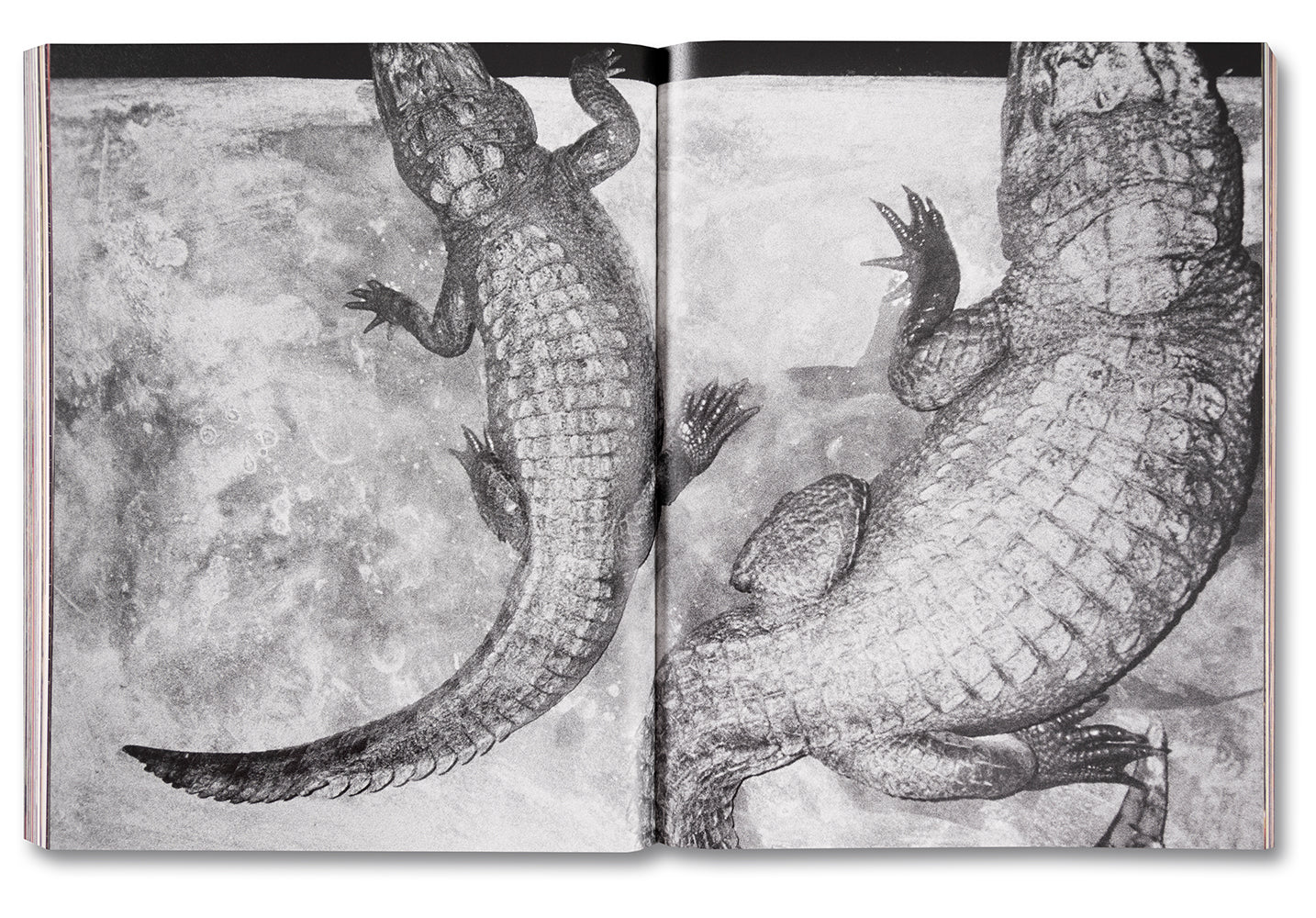 Coming and Going - Image 18