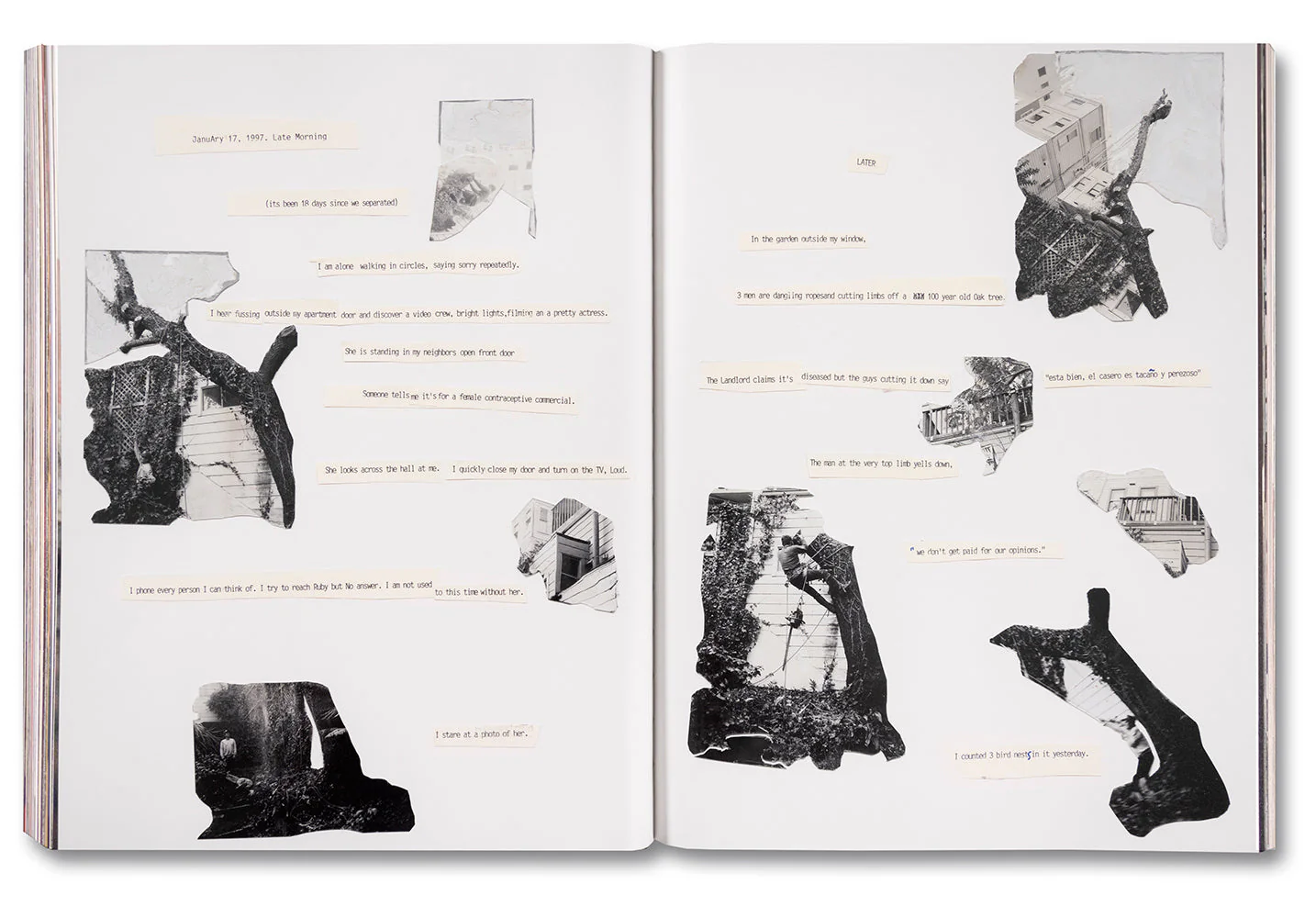 Coming and Going - Image 21