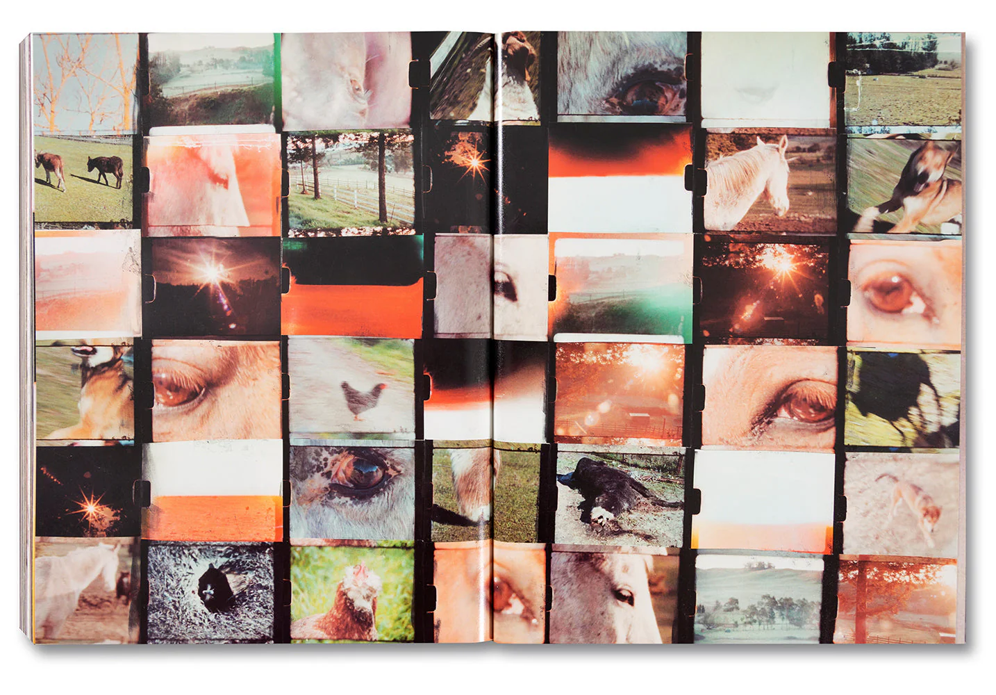 Coming and Going - Image 42