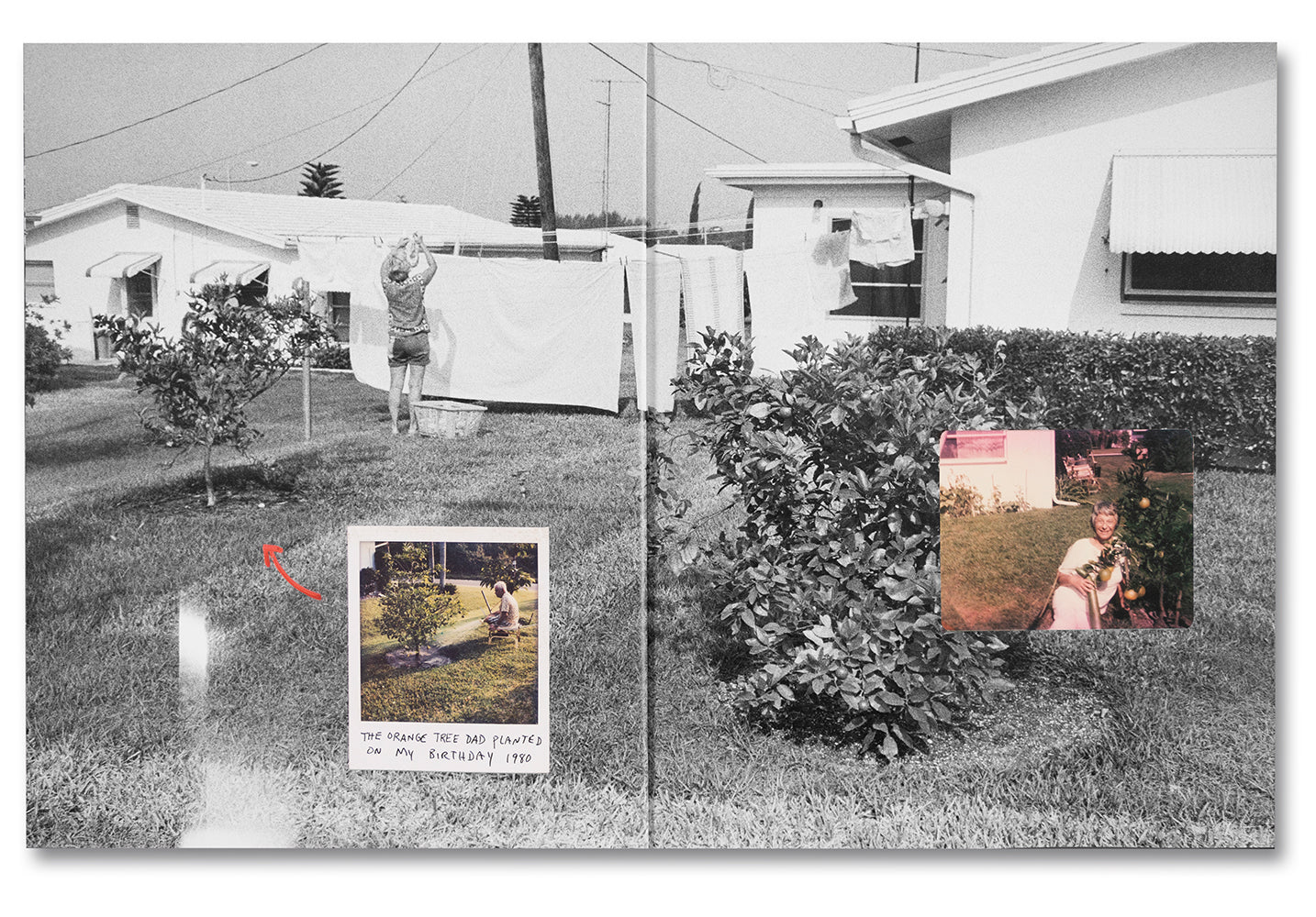 Coming and Going - Image 8