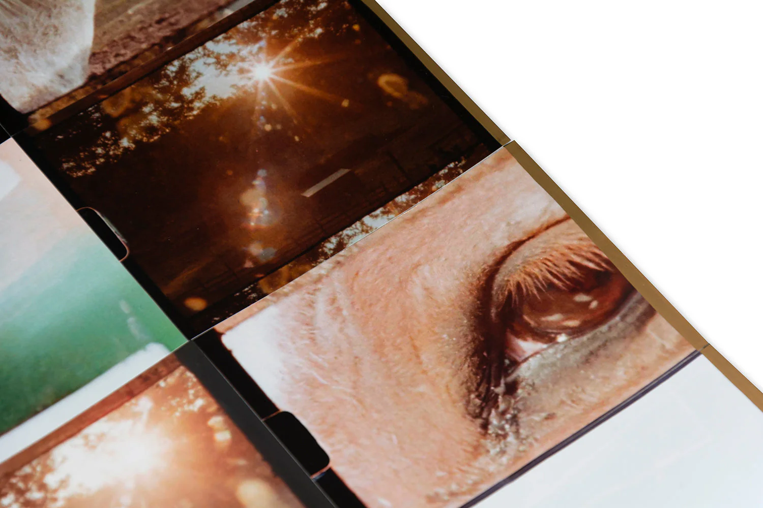 Coming and Going Special Edition - Image 16