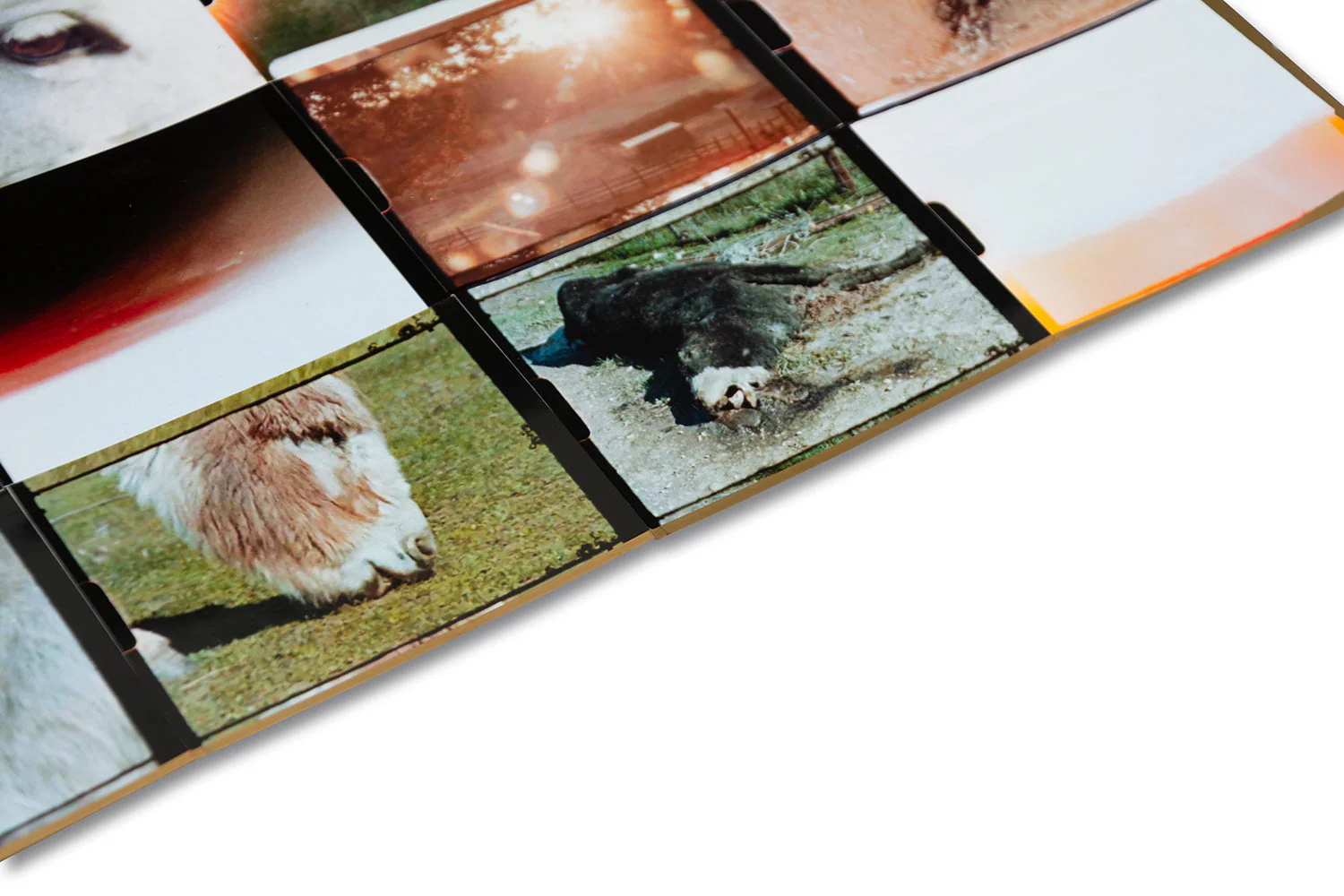 Coming and Going Special Edition - Image 17