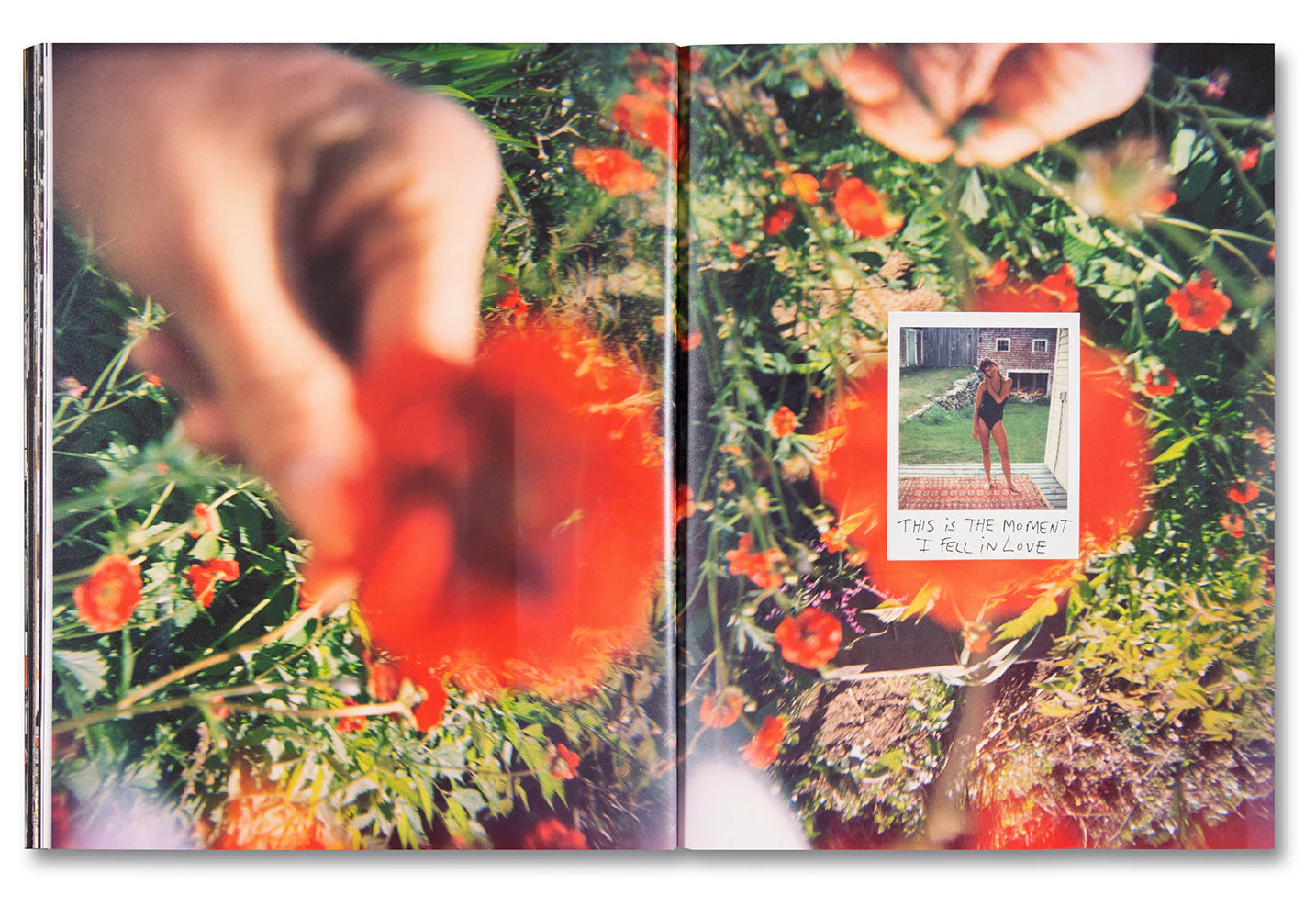 Coming and Going Special Edition - Image 36