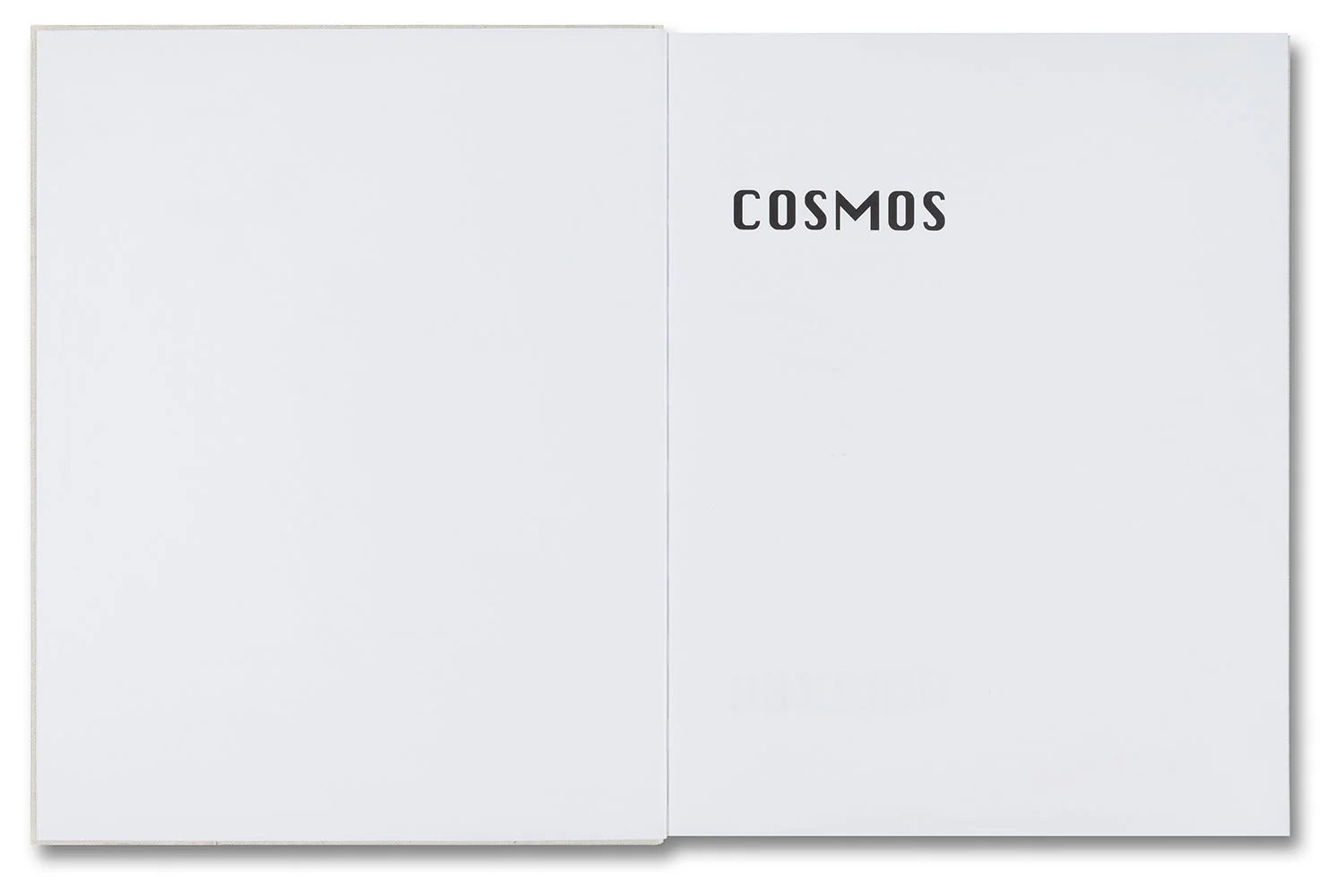 COSMOS - Image 3
