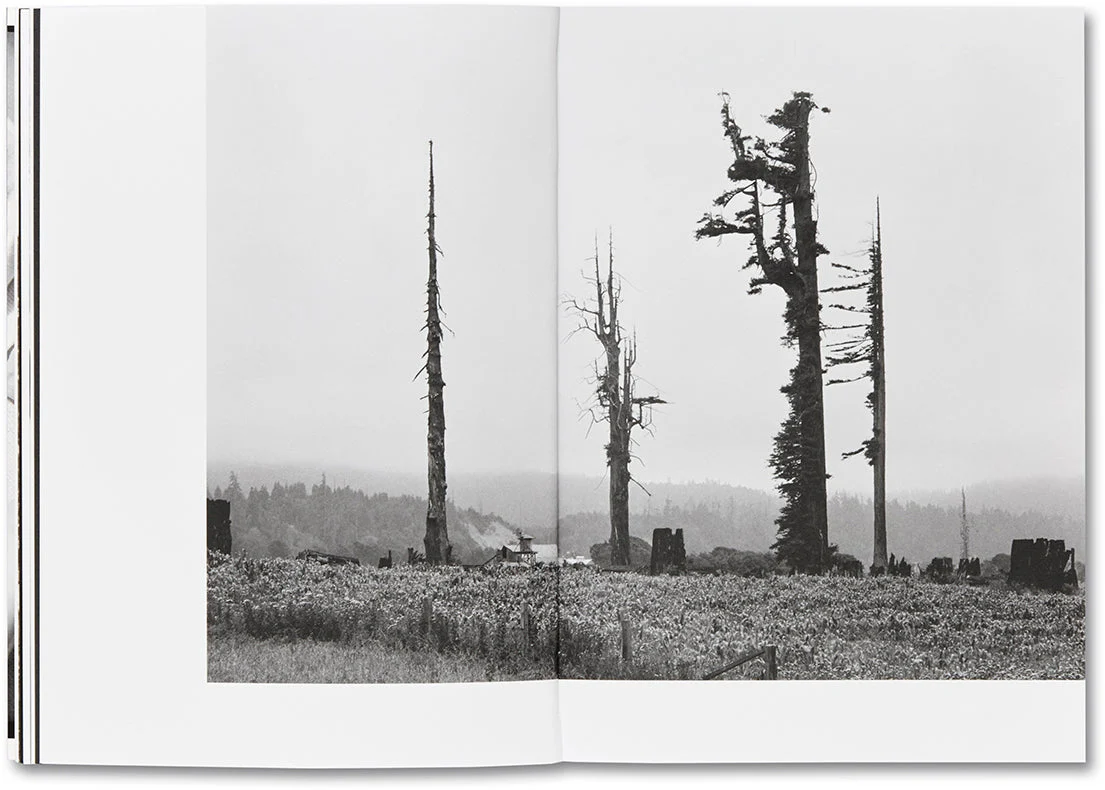 Day Sleeper - Image 11
