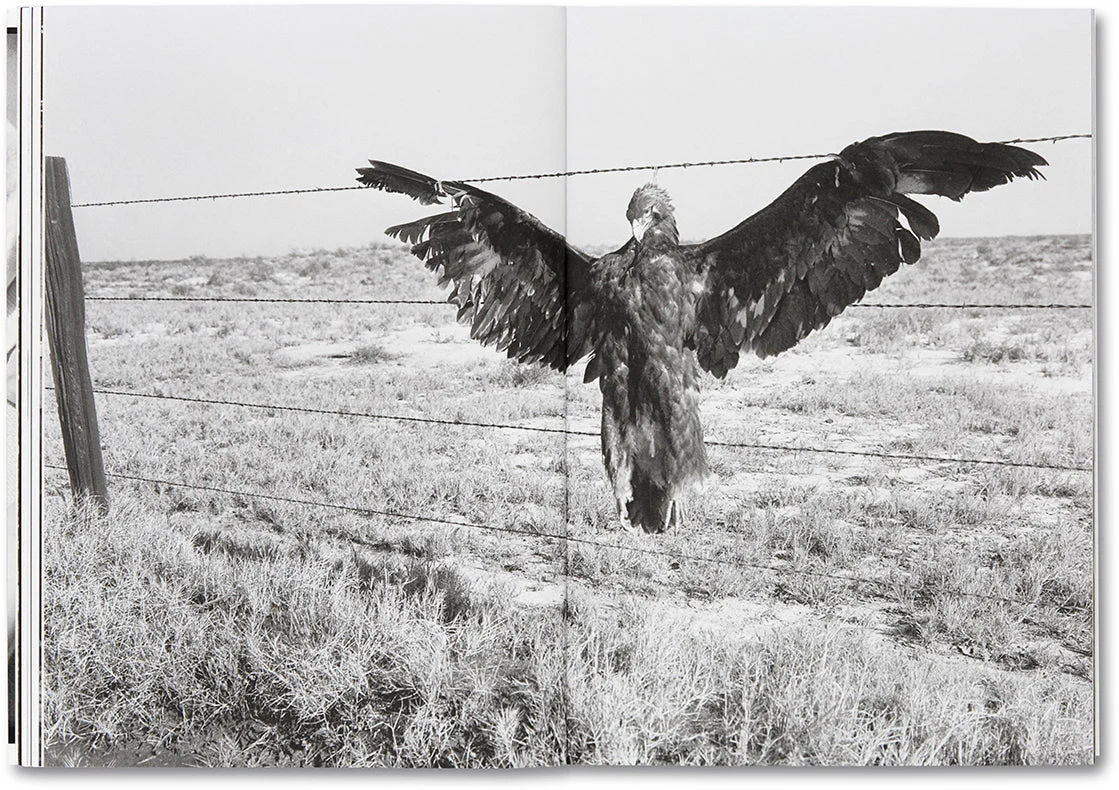 Day Sleeper - Image 14