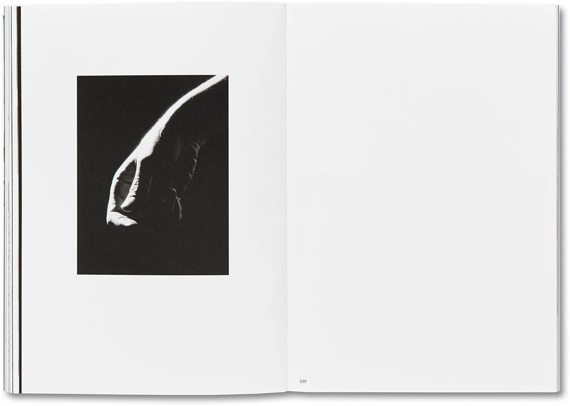 Day Sleeper - Image 29