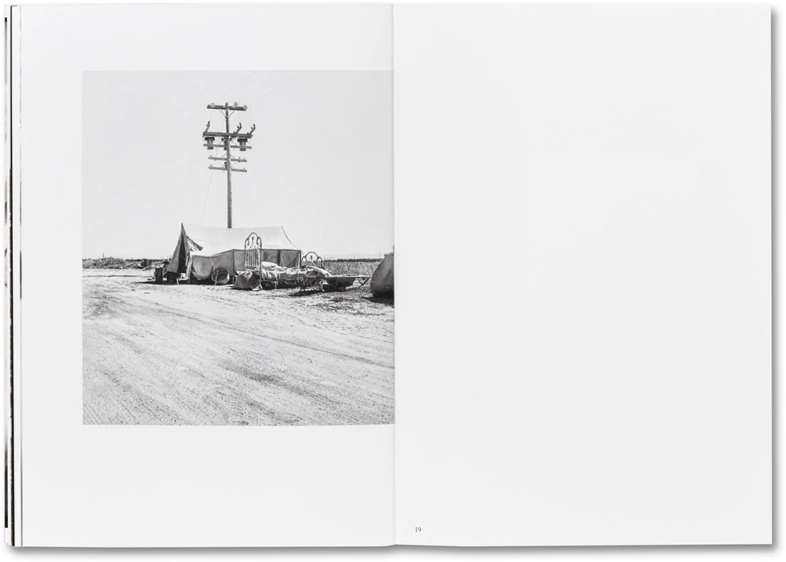 Day Sleeper - Image 8