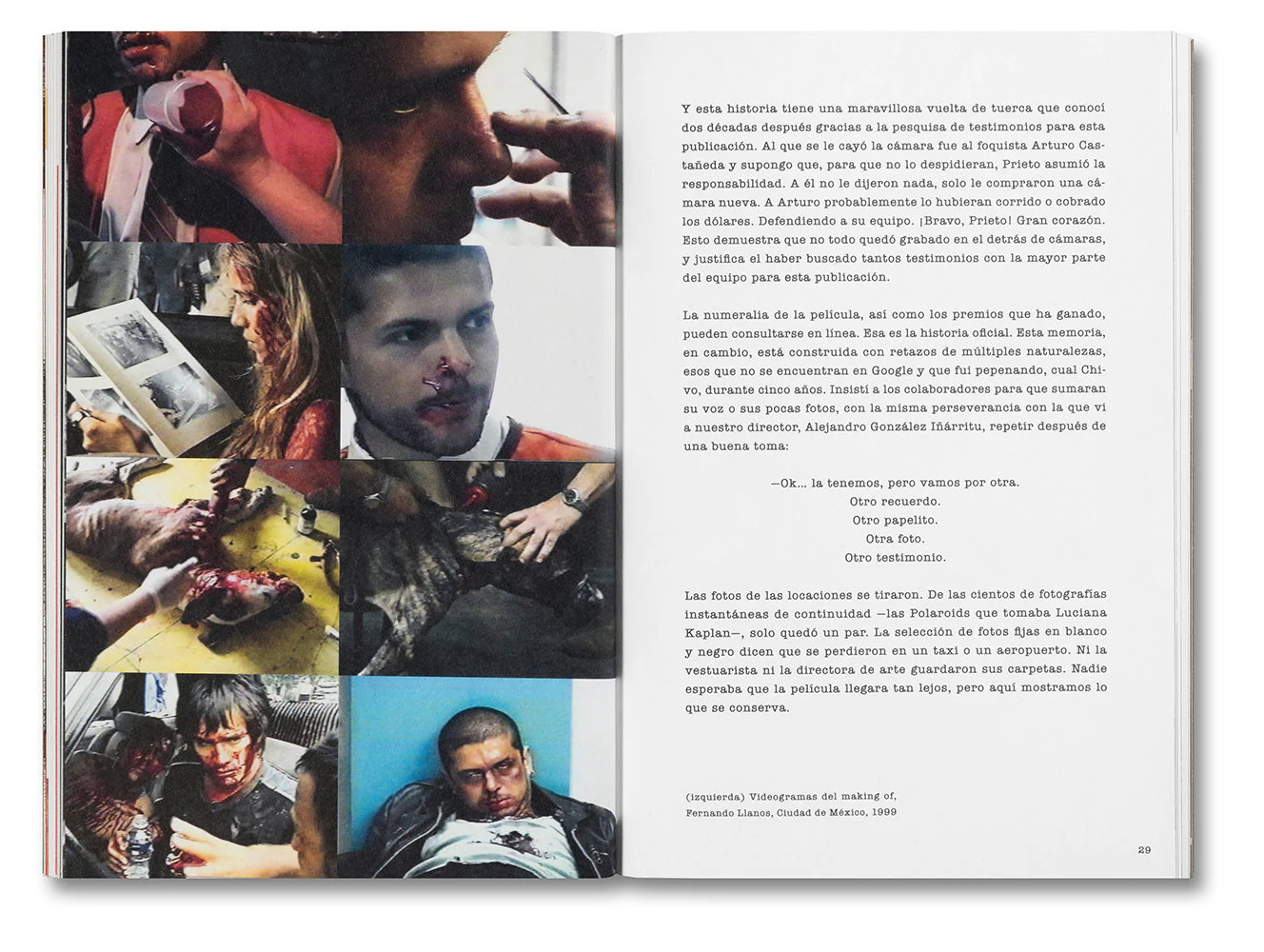 Desatar Amores Perros - Image 10