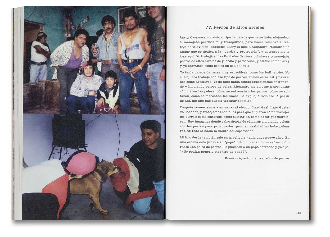Desatar Amores Perros - Image 23