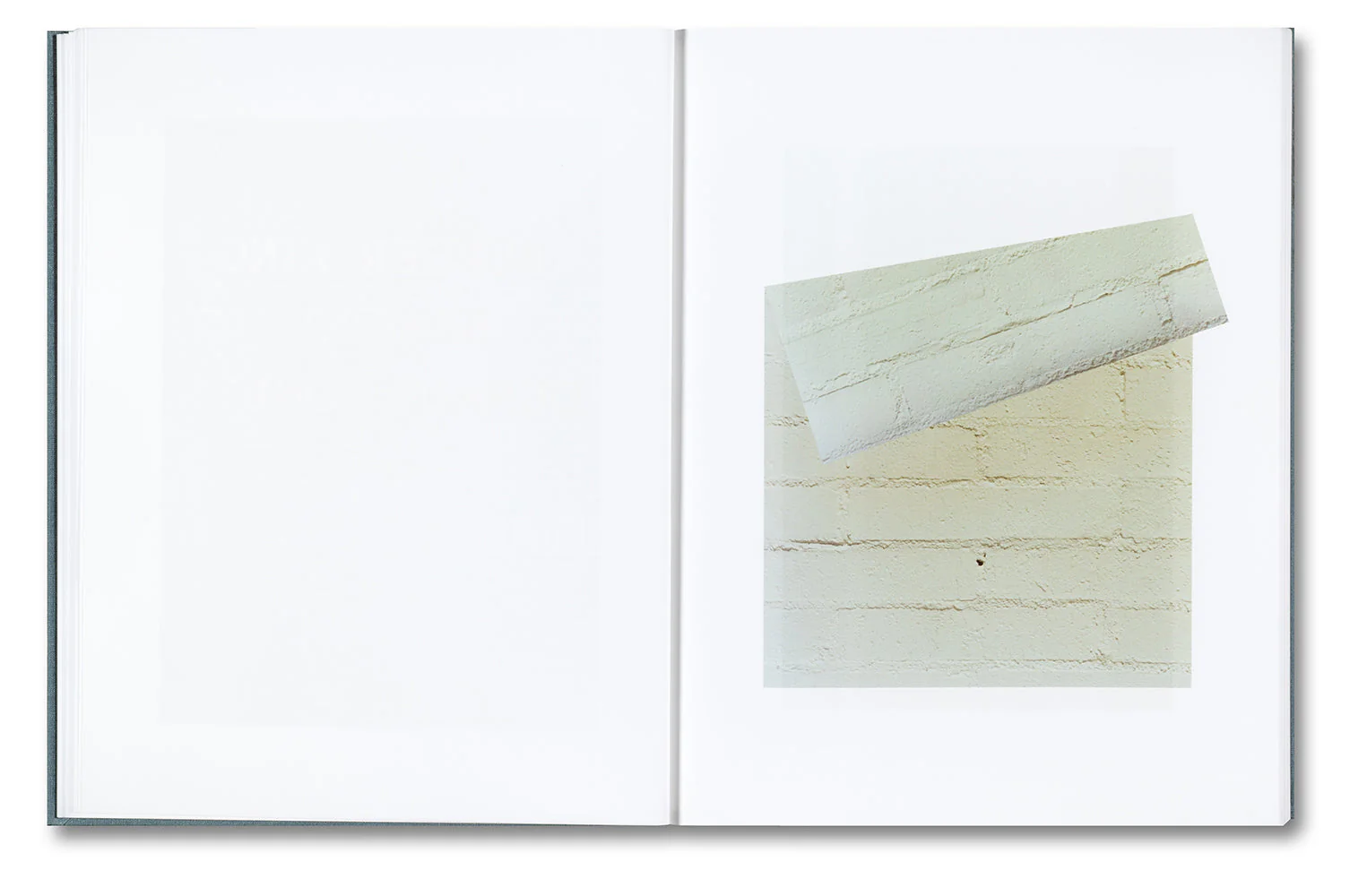 Distribution - Image 10