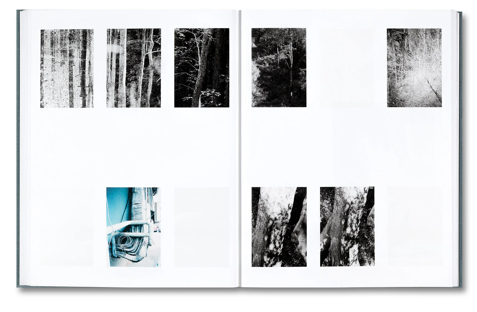 Distribution - Image 13