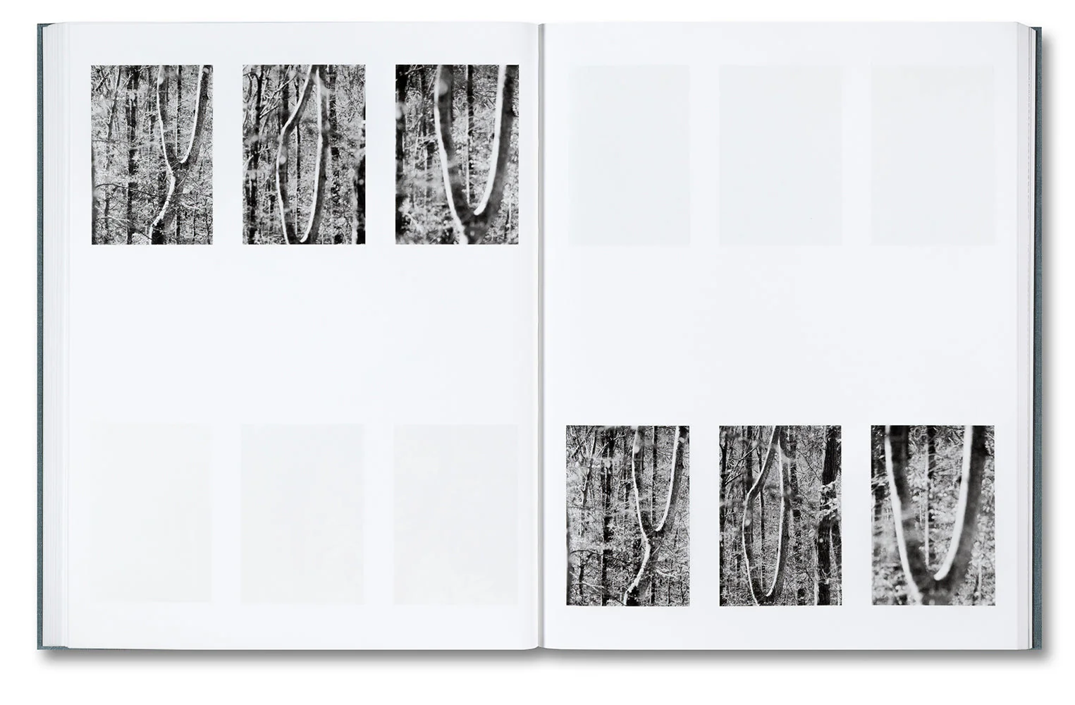 Distribution - Image 15
