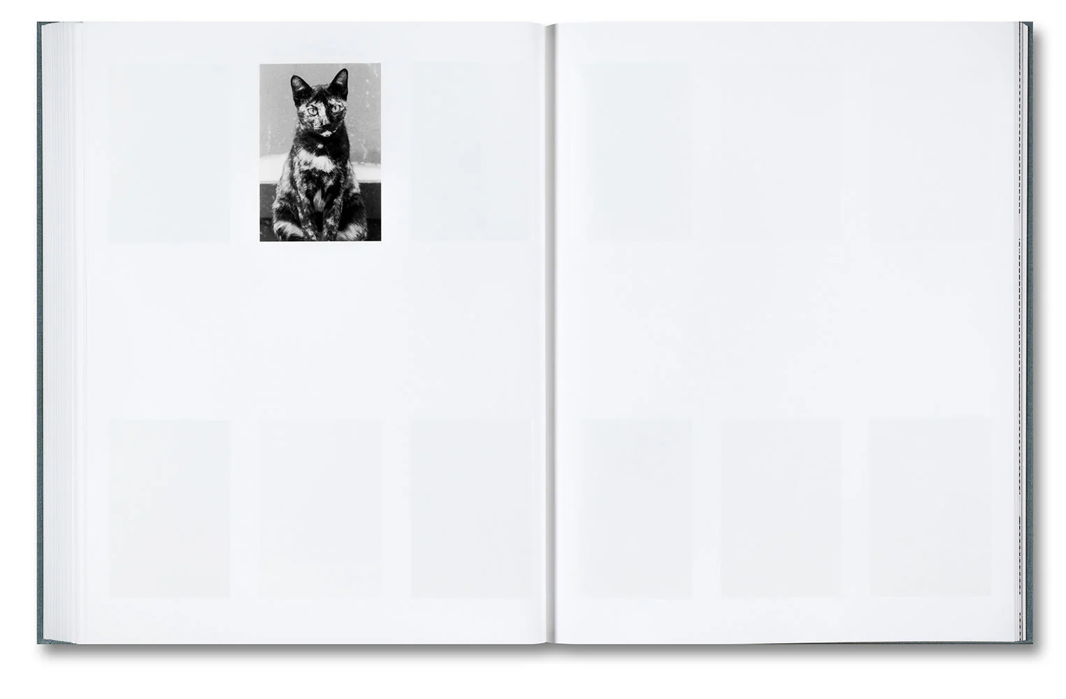 Distribution - Image 19