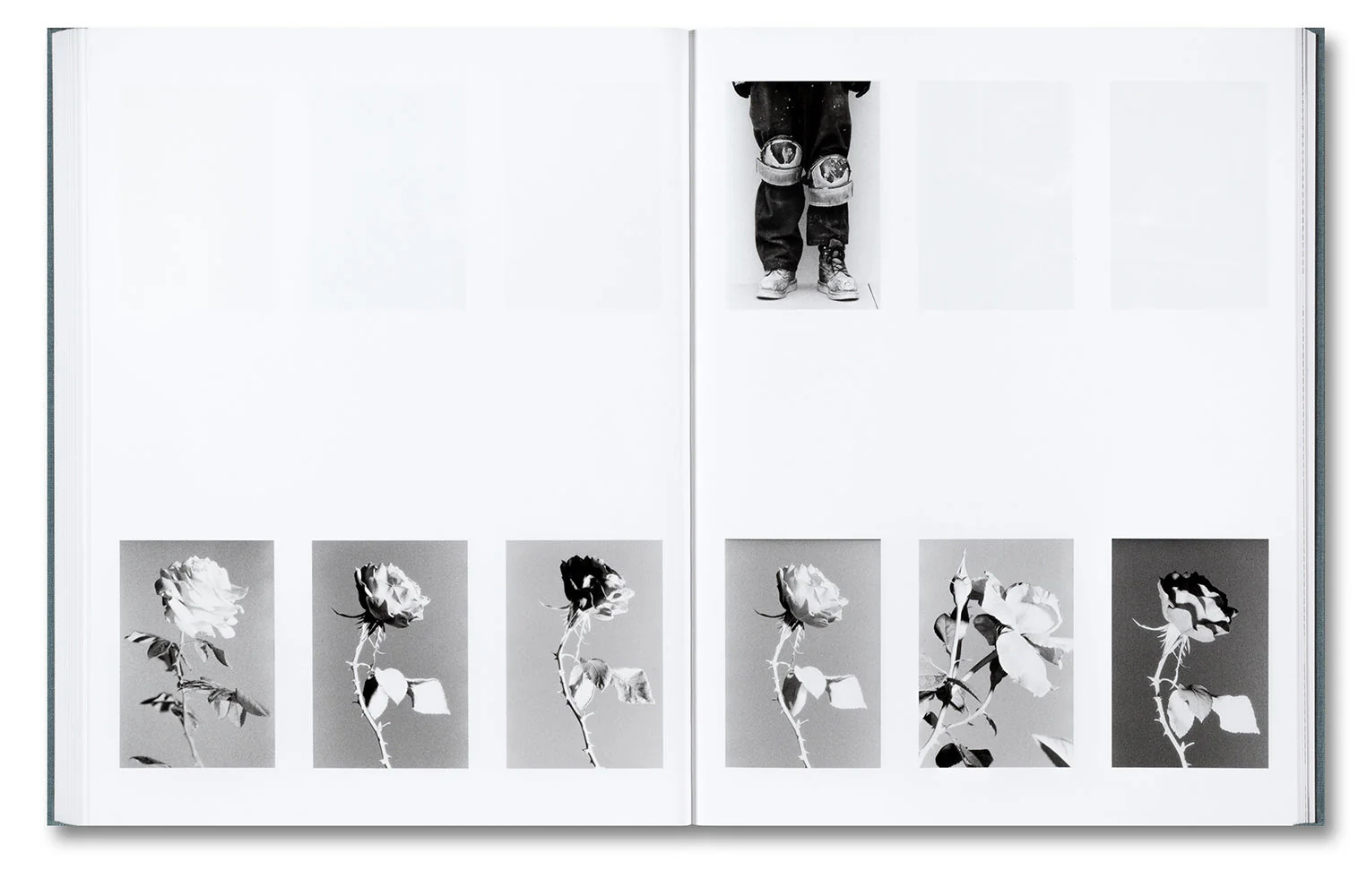 Distribution - Image 20