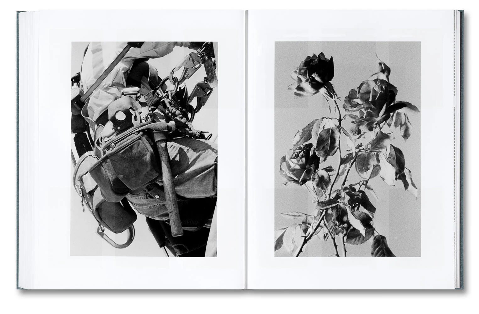 Distribution - Image 21