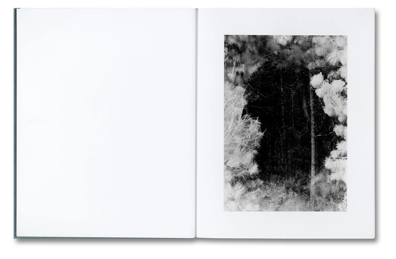 Distribution - Image 6