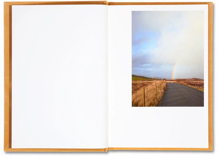Does Yellow Run Forever? - Image 3