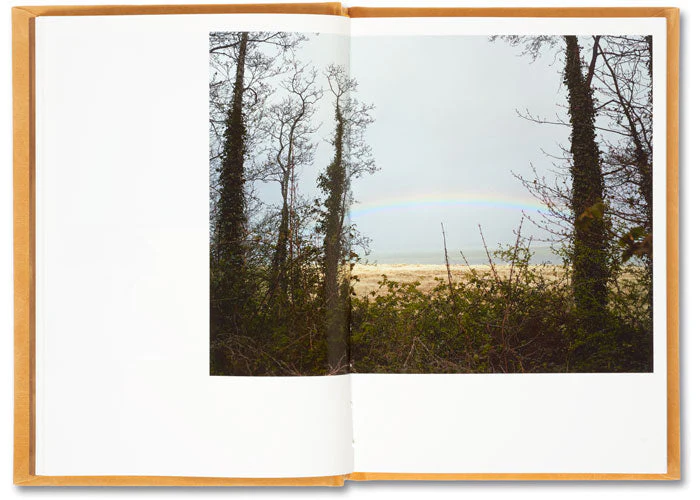 Does Yellow Run Forever? - Image 7