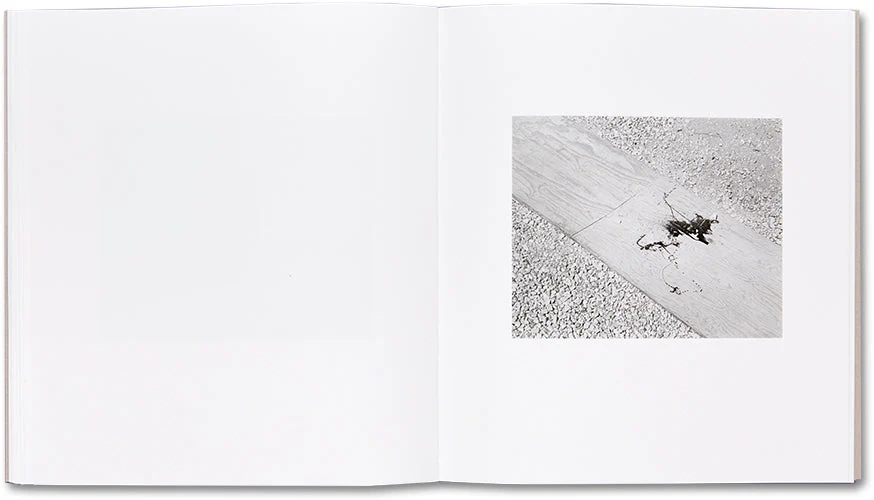Domesticated Land - Image 15