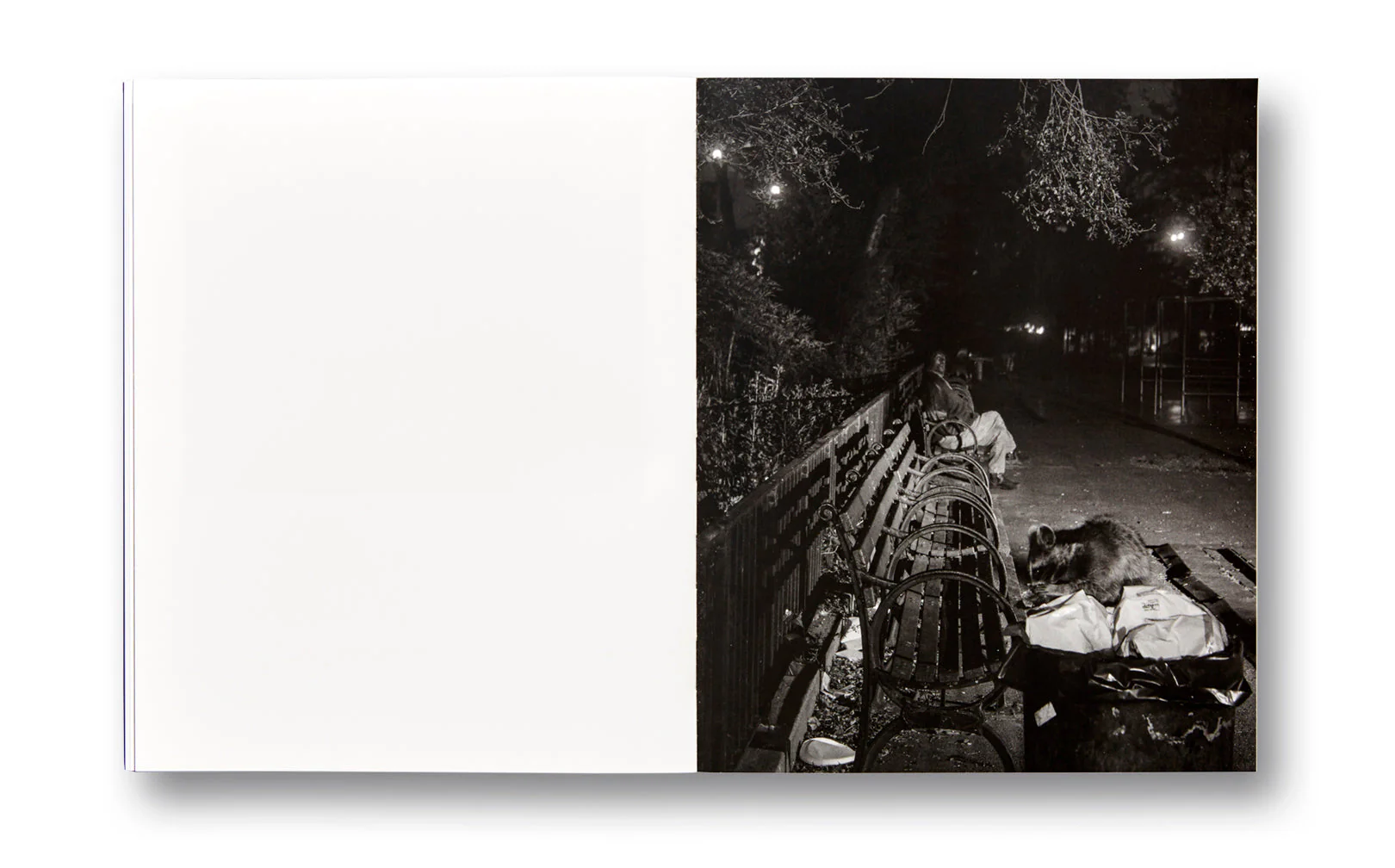 Dyckman Haze - Image 17