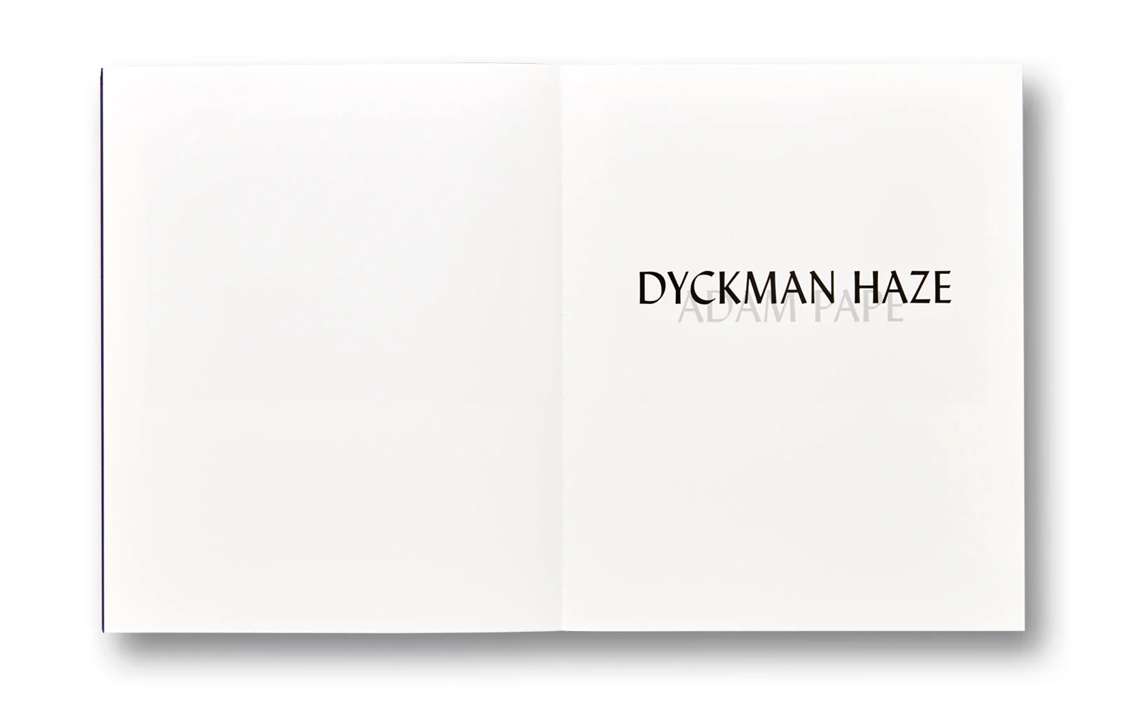Dyckman Haze - Image 4