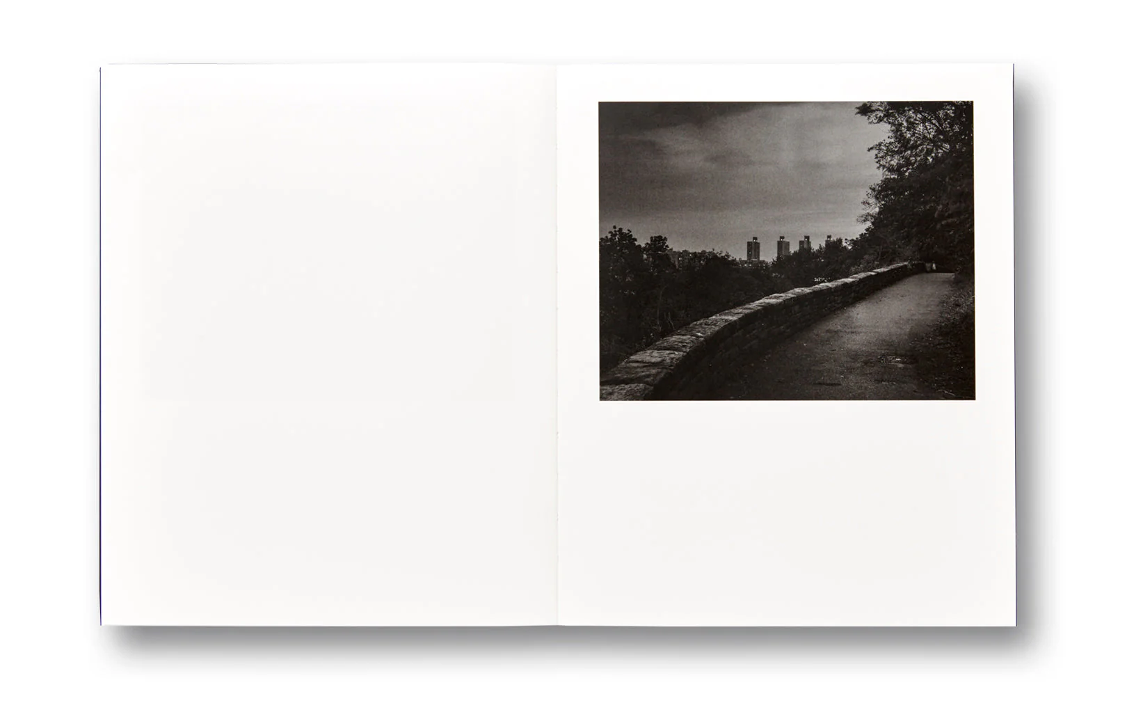 Dyckman Haze - Image 6