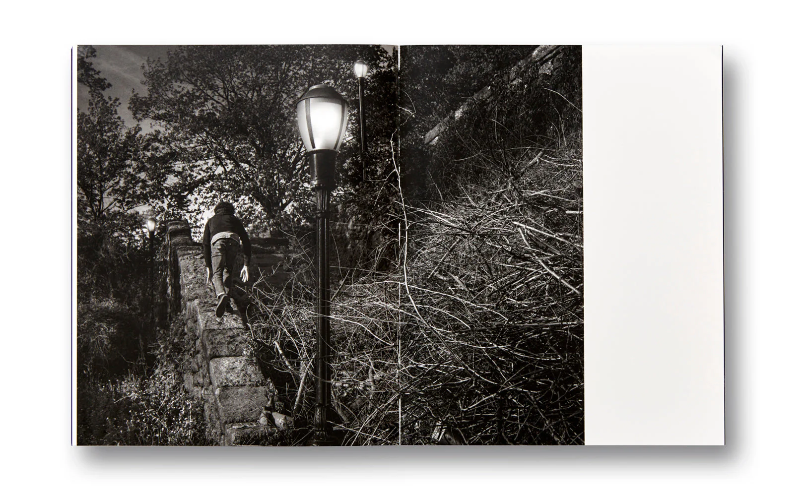 Dyckman Haze - Image 7