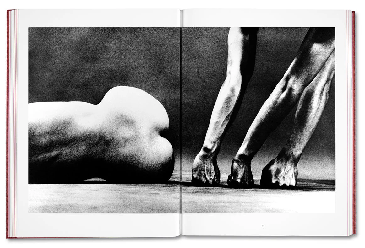 Eikoh Hosoe (English edition) - Image 22