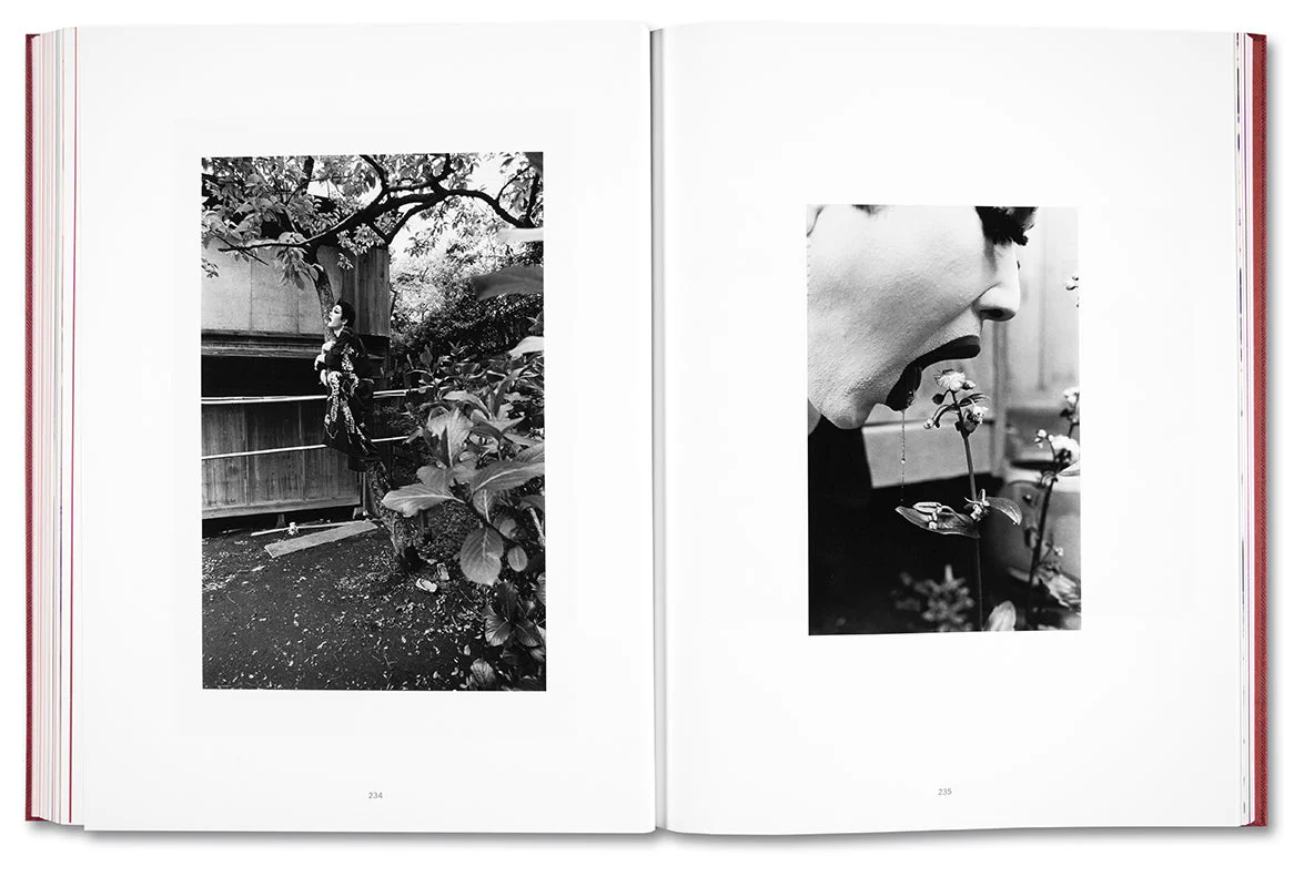 Eikoh Hosoe (English edition) - Image 31