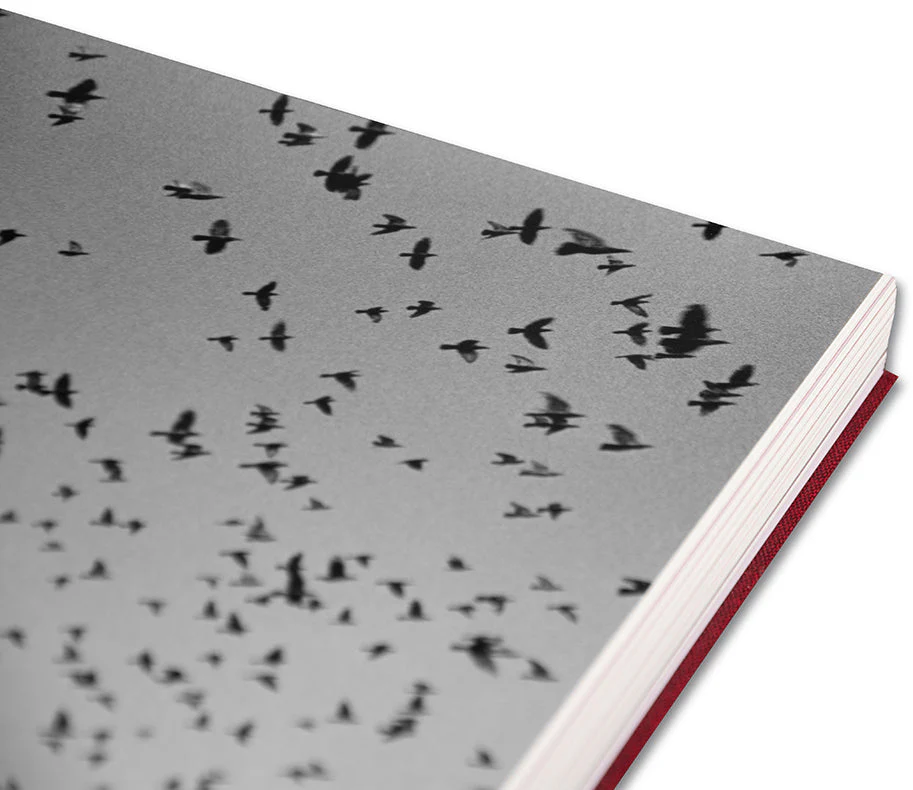 Eikoh Hosoe (English edition) - Image 50