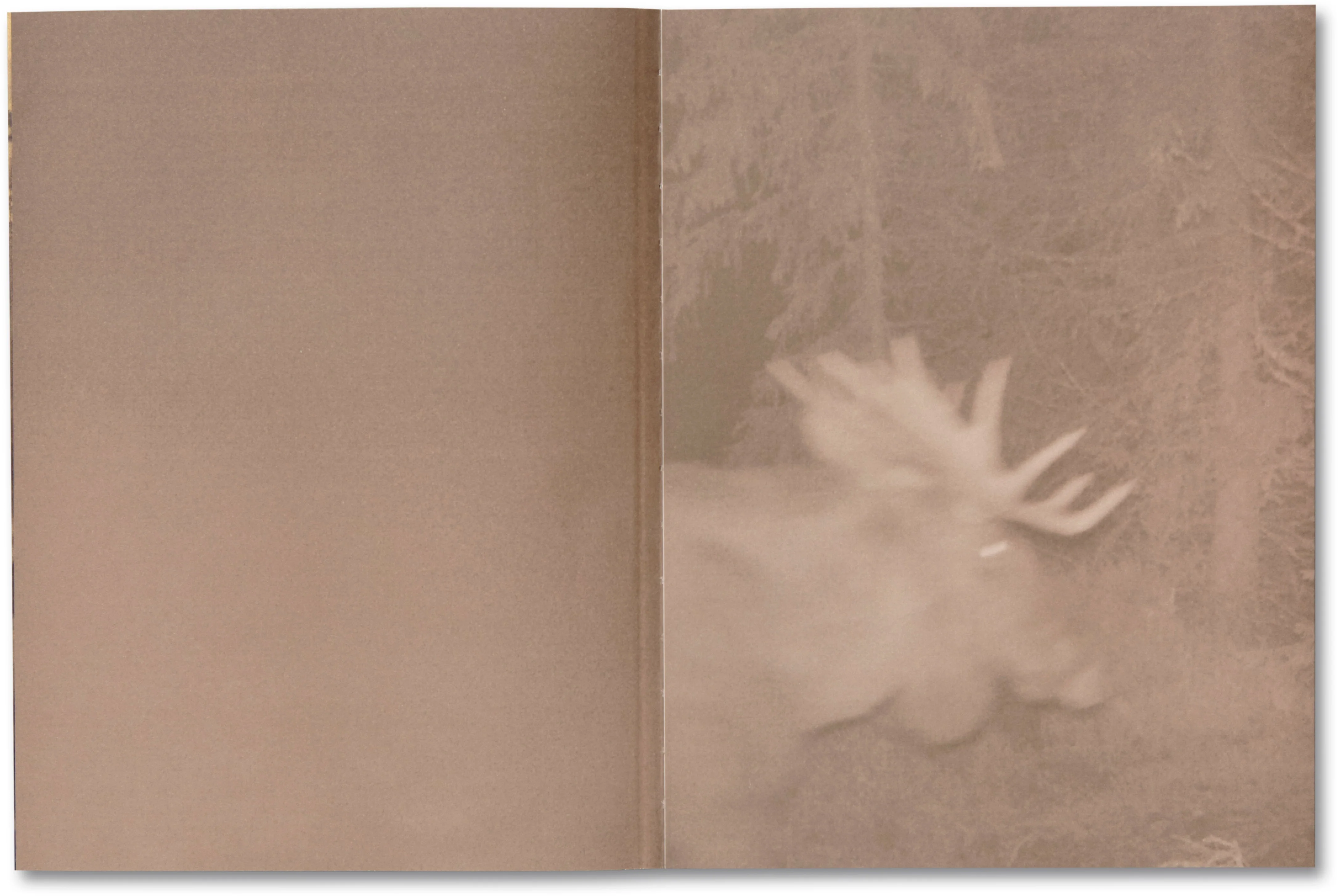 Elf Dalia - Image 3