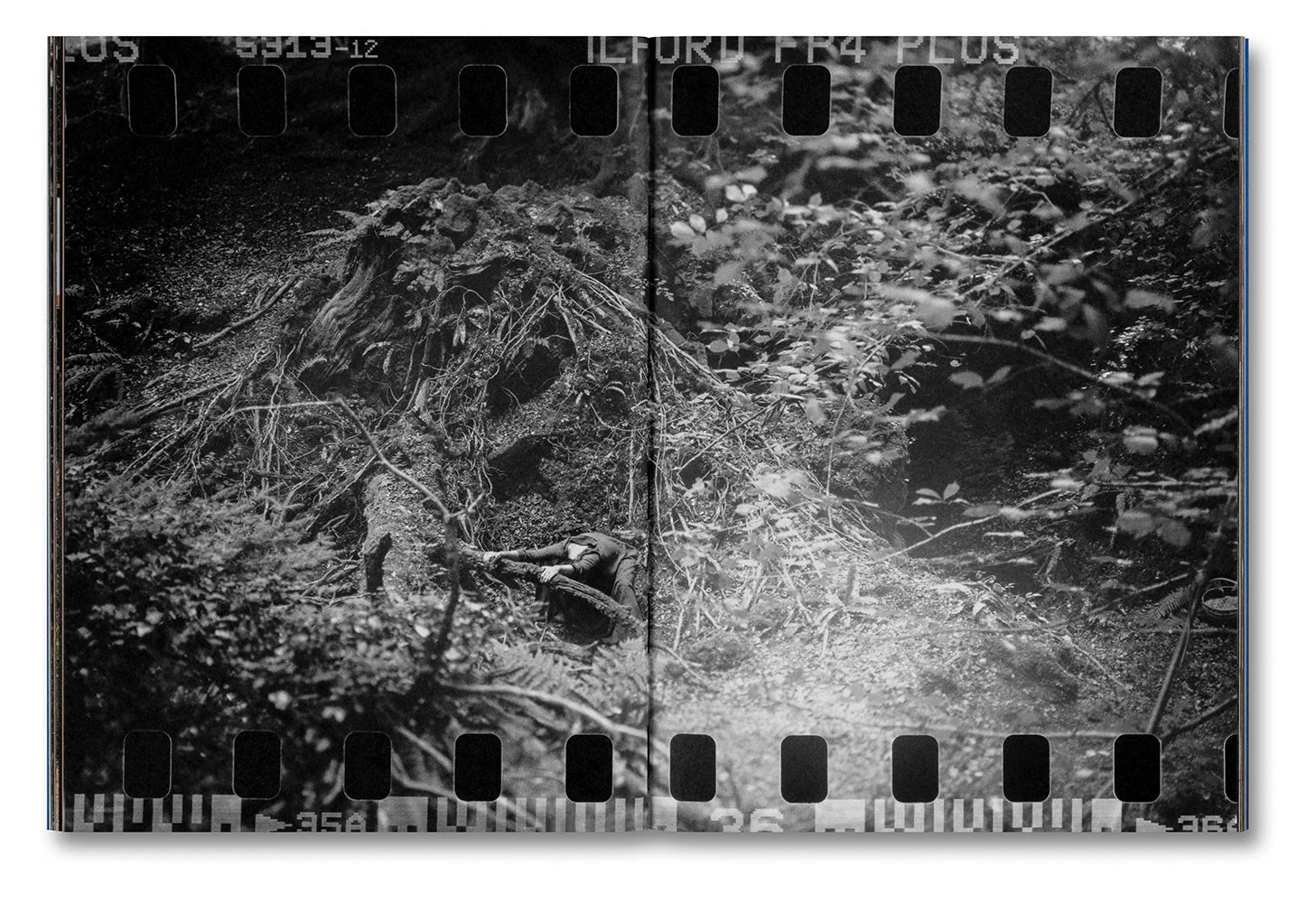Even as a Shadow, Even as a Dream - Image 12
