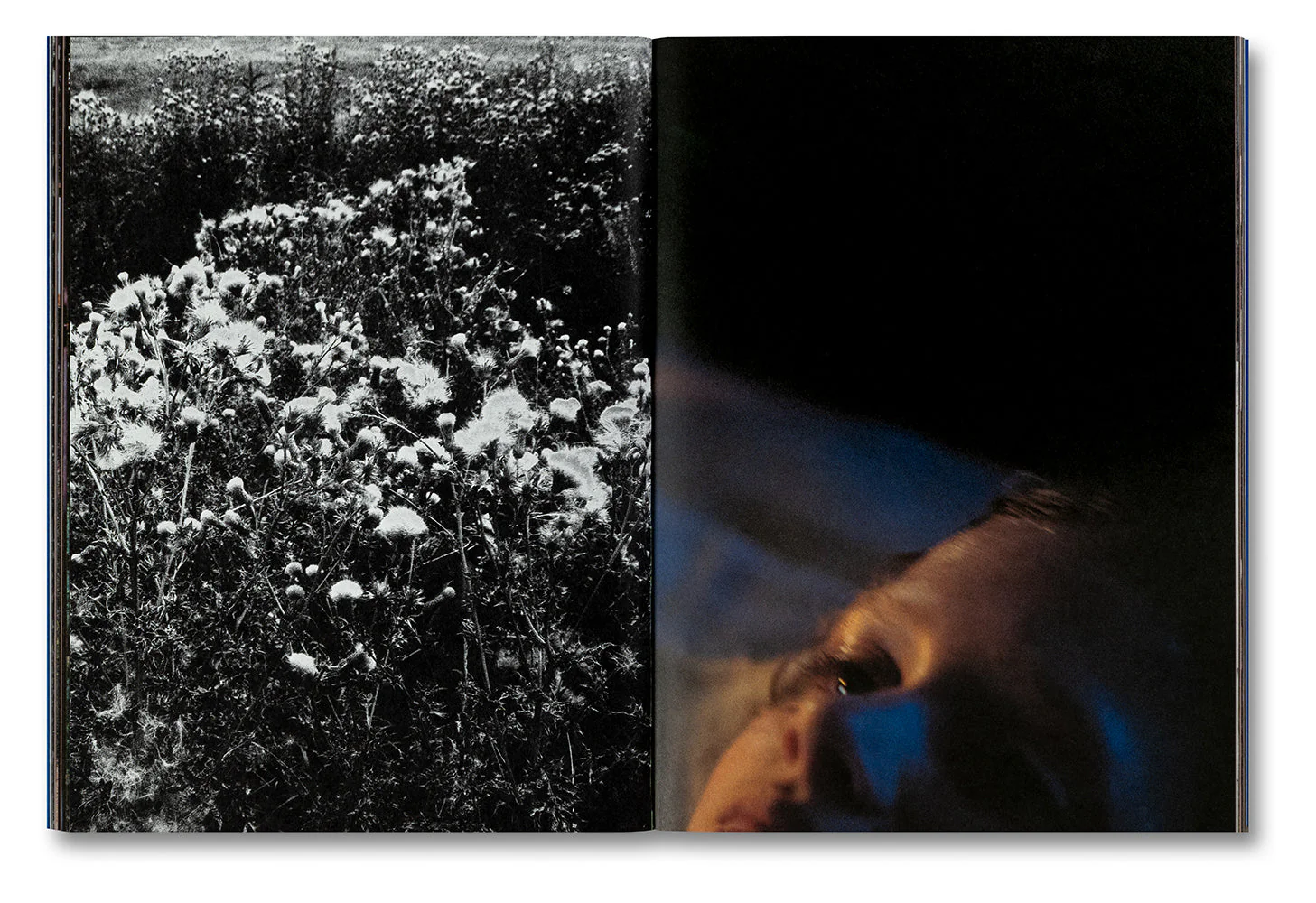 Even as a Shadow, Even as a Dream - Image 14