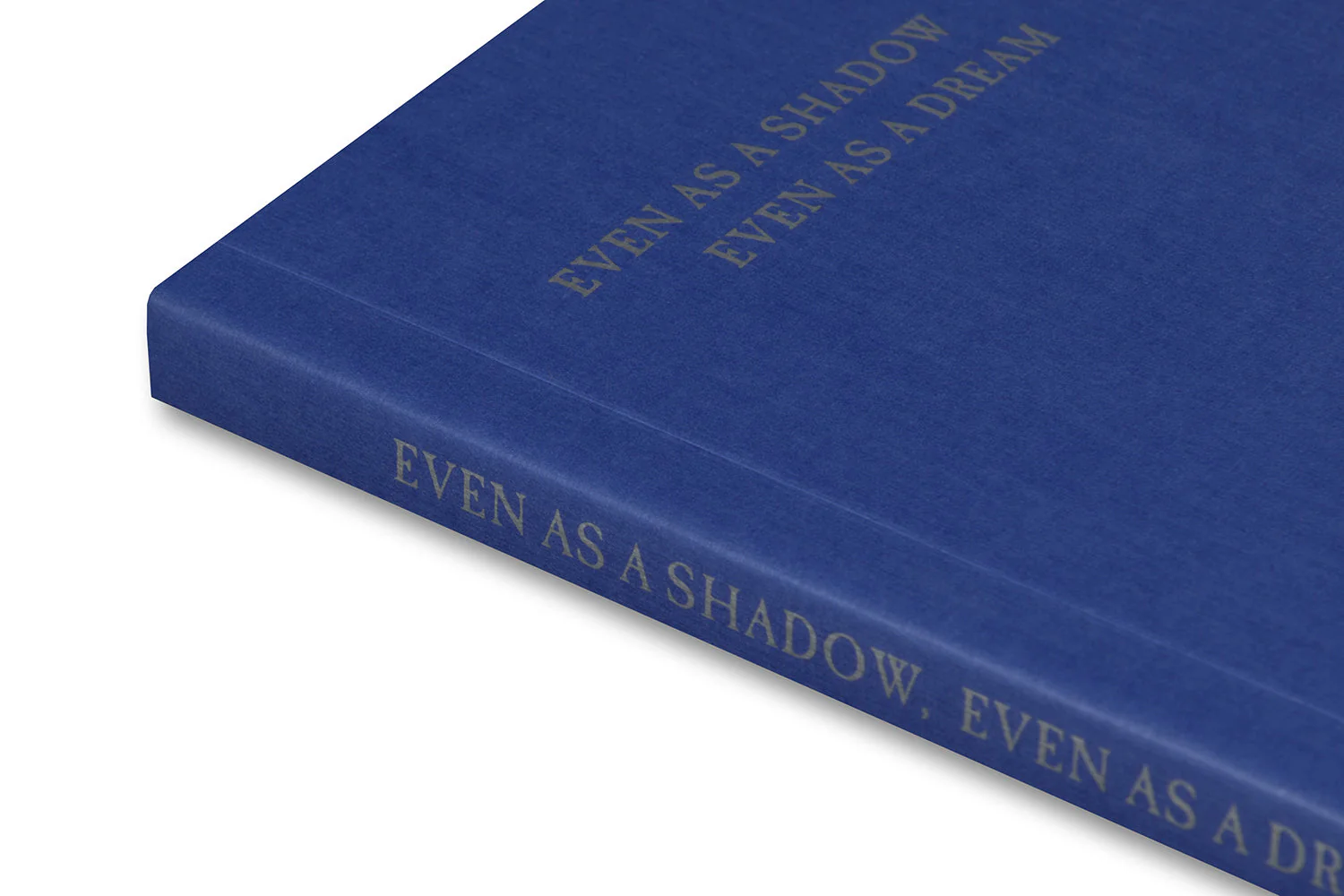 Even as a Shadow, Even as a Dream - Image 39