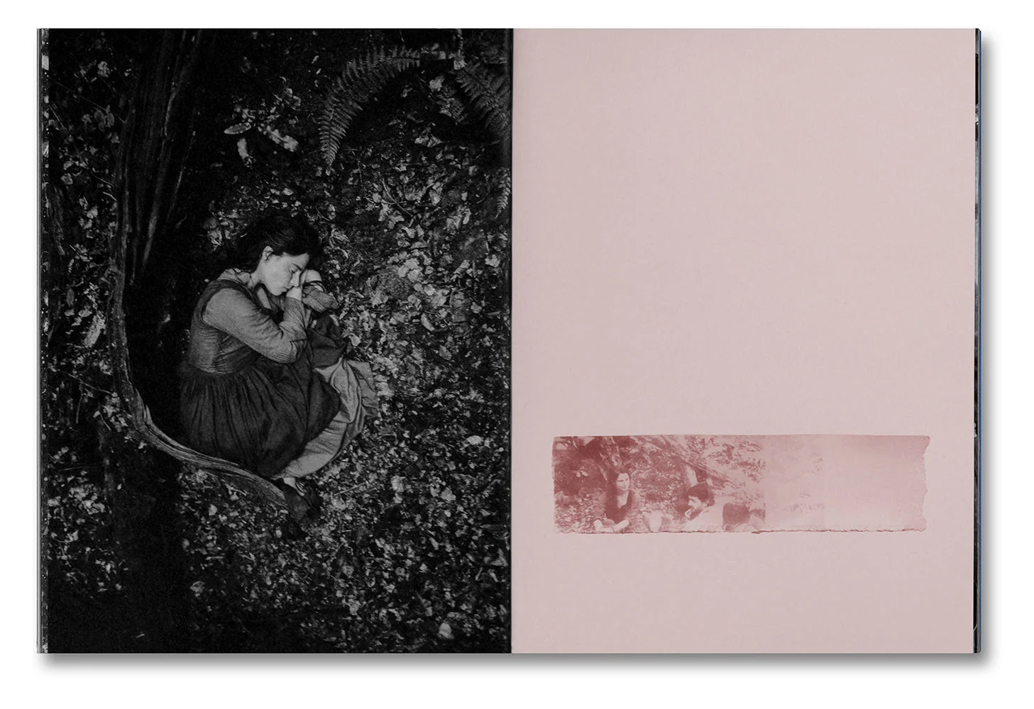 Even as a Shadow, Even as a Dream - Image 5