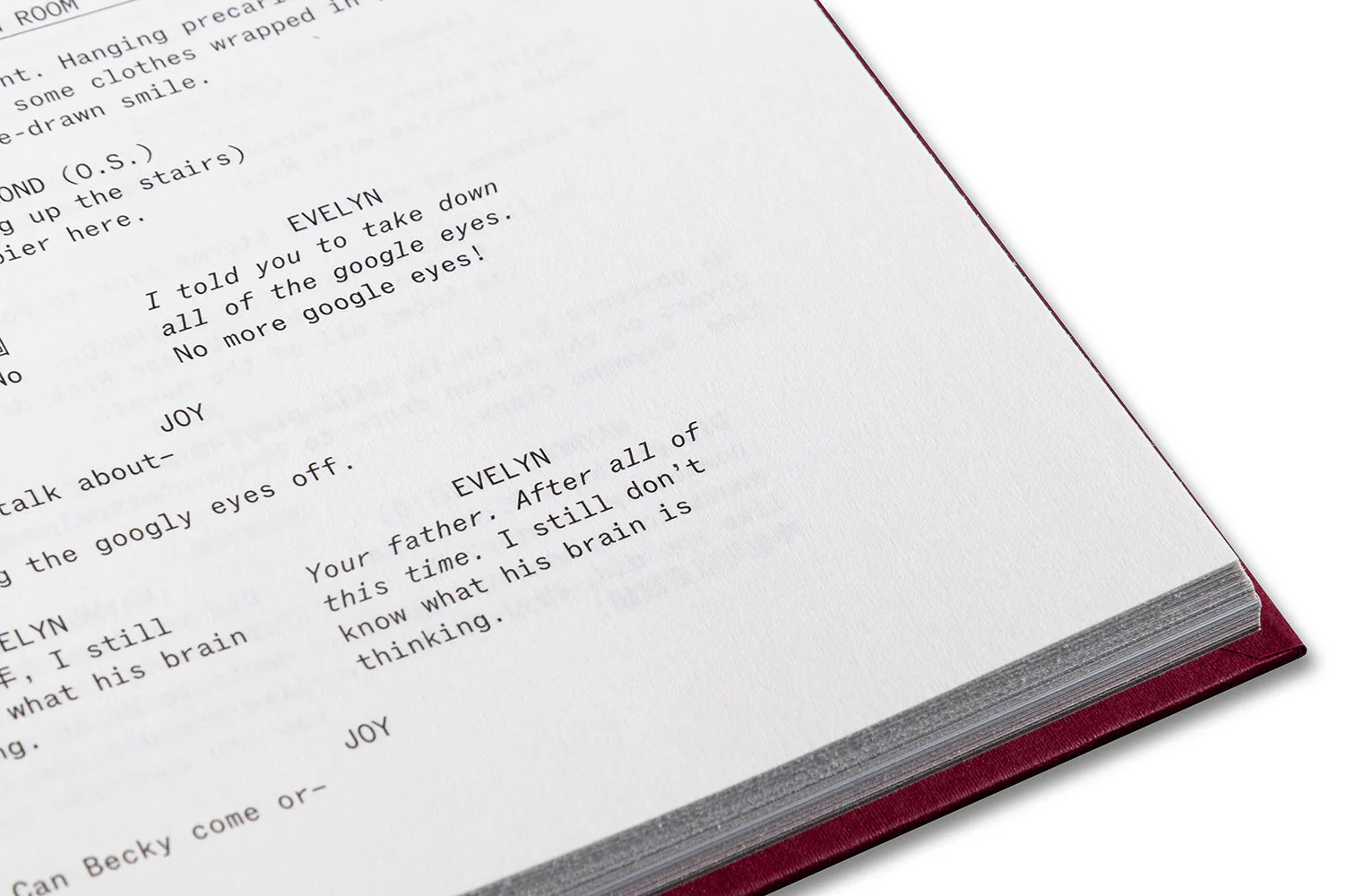 Everything Everywhere All at Once Screenplay Book - Image 13