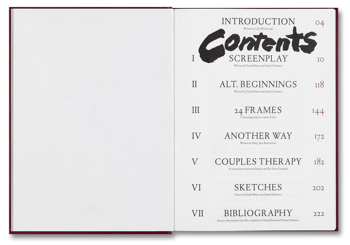 Everything Everywhere All at Once Screenplay Book - Image 2